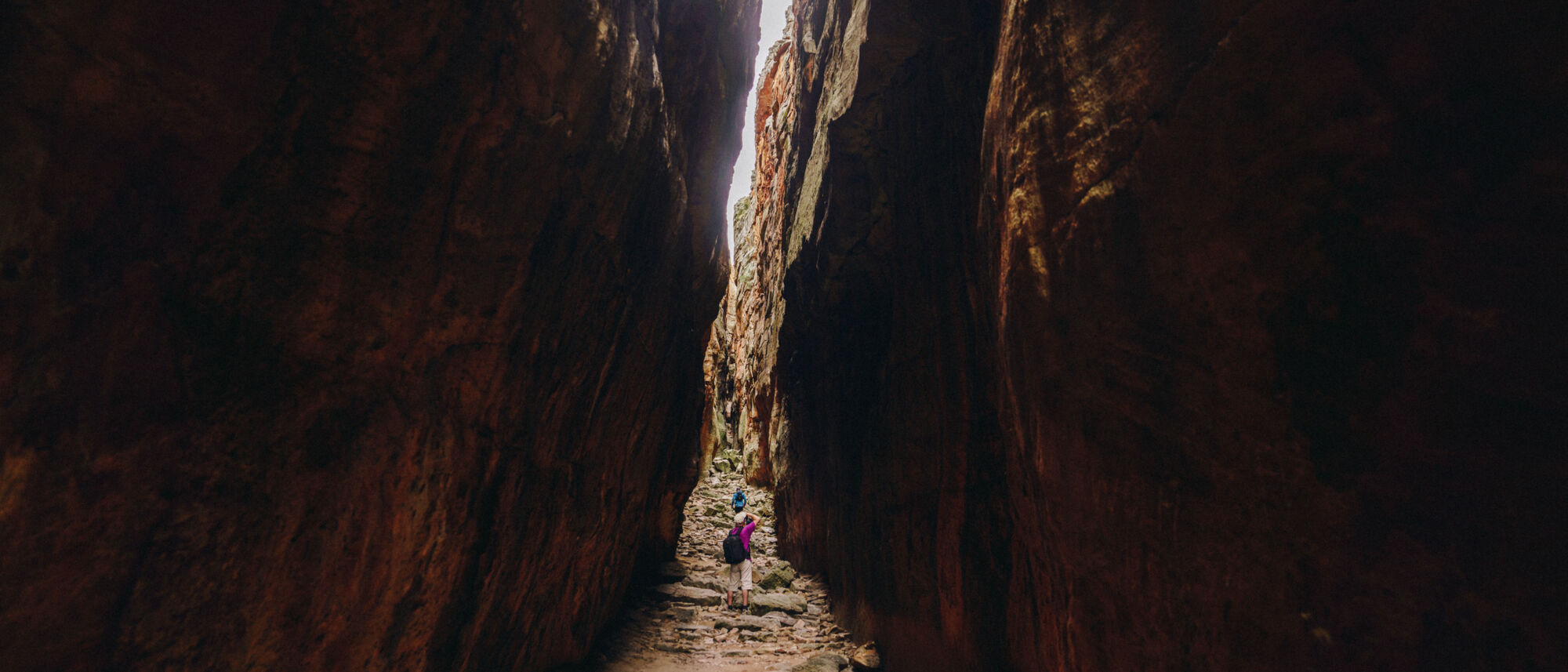 Image Title Image Title