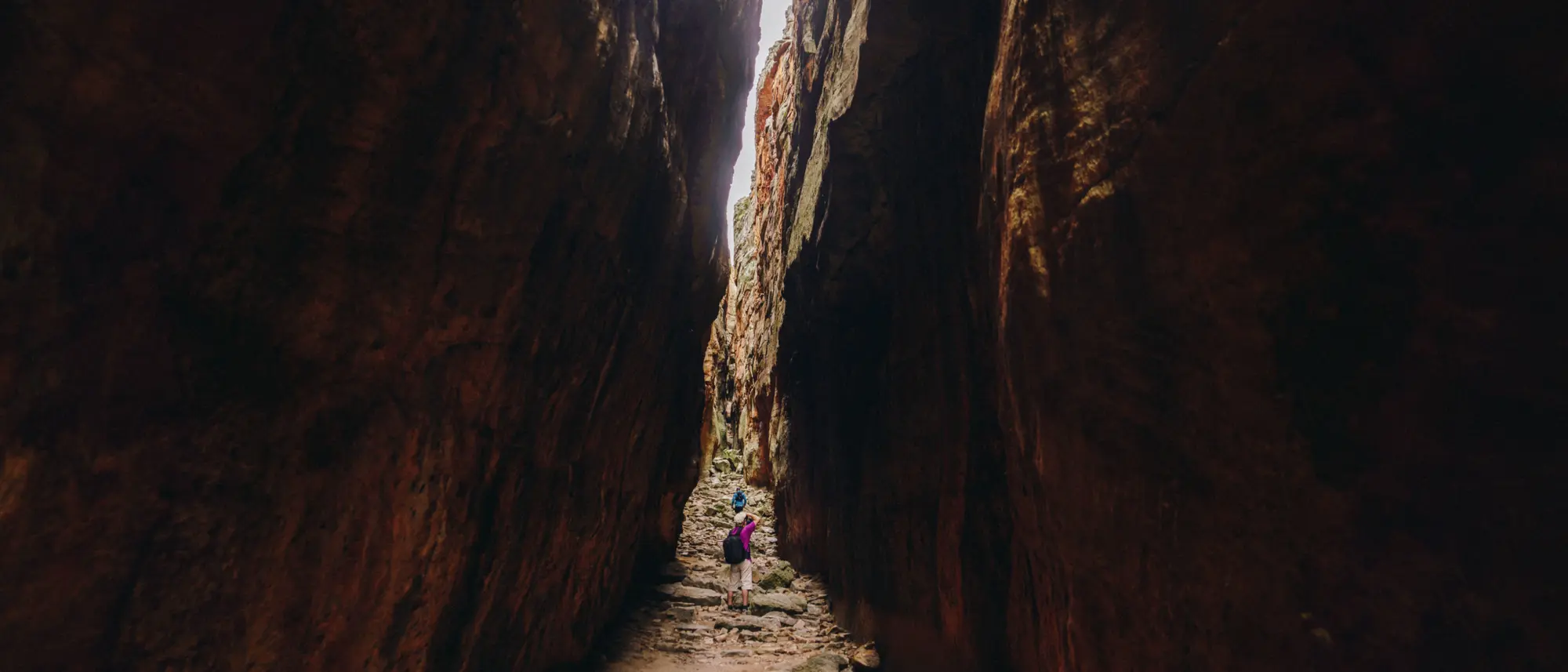 Image Title Image Title