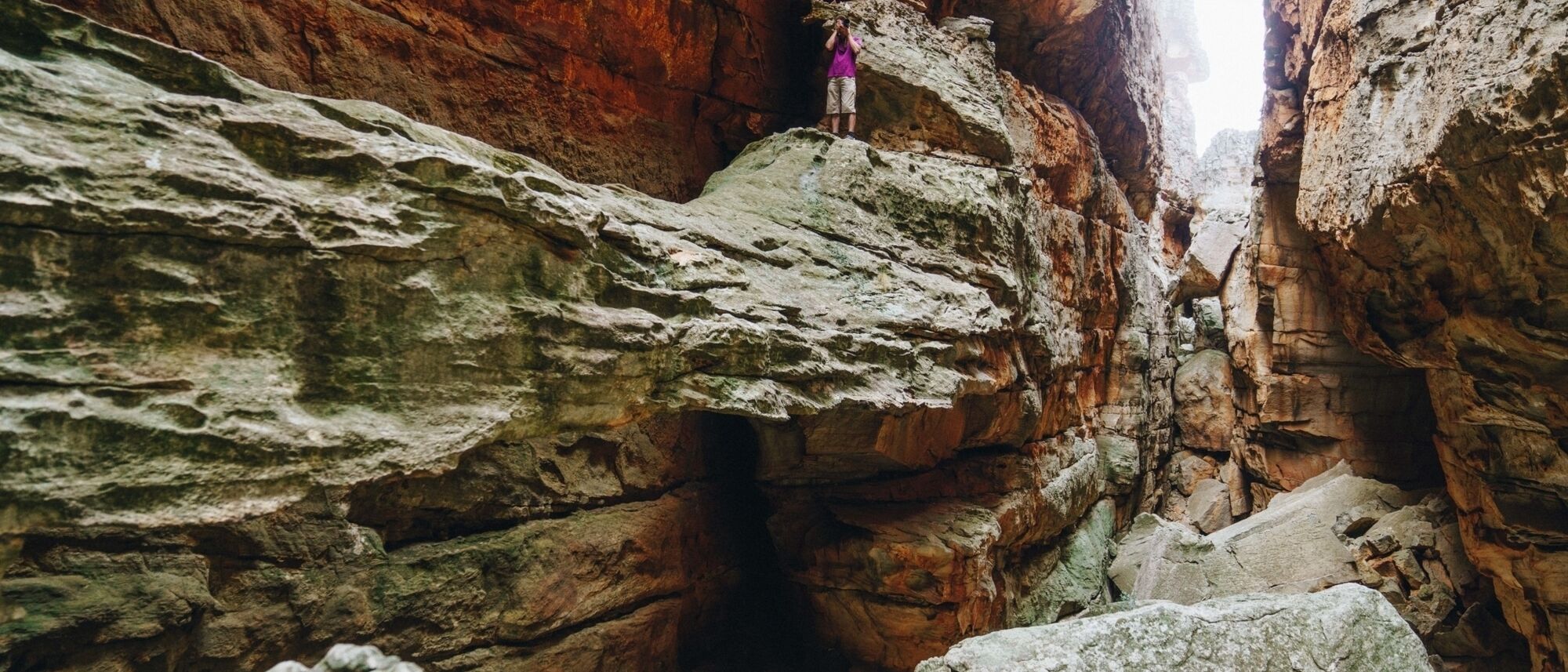 Image Title Image Title