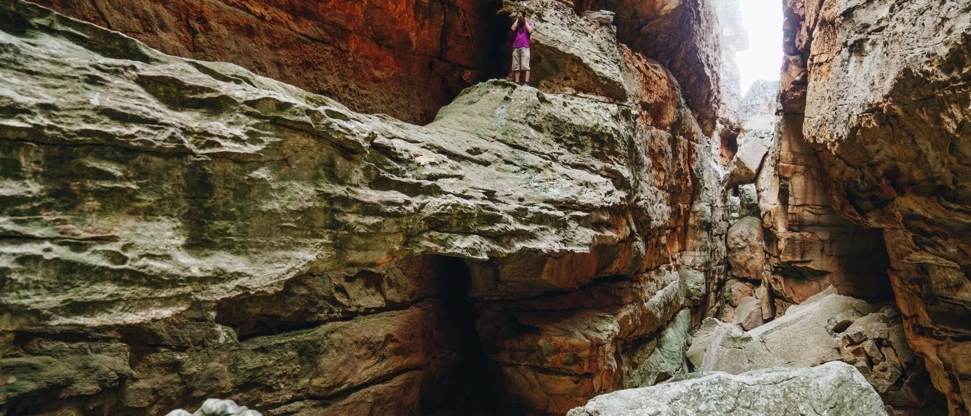 Image Title Image Title