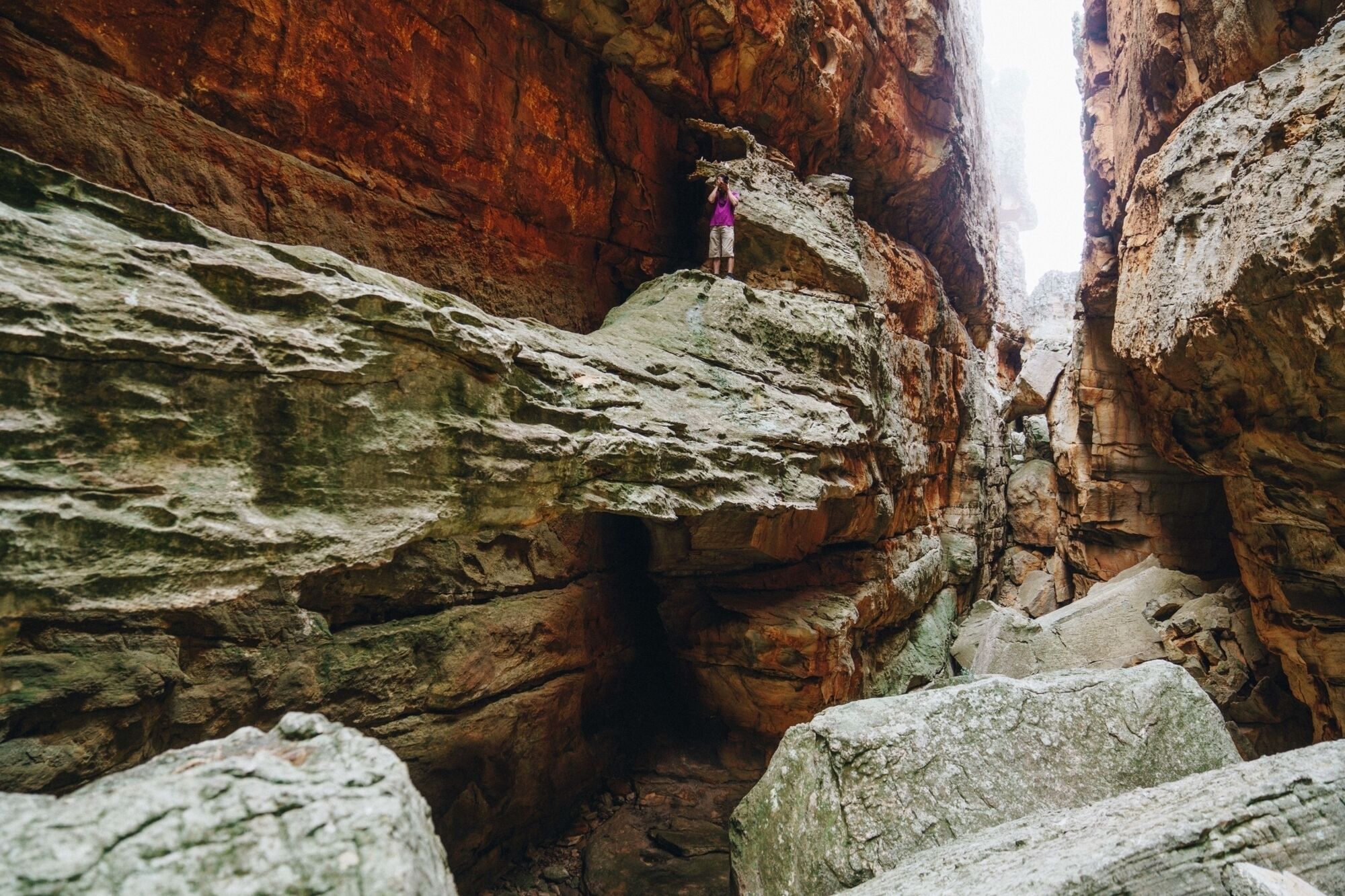 Image Title Image Title