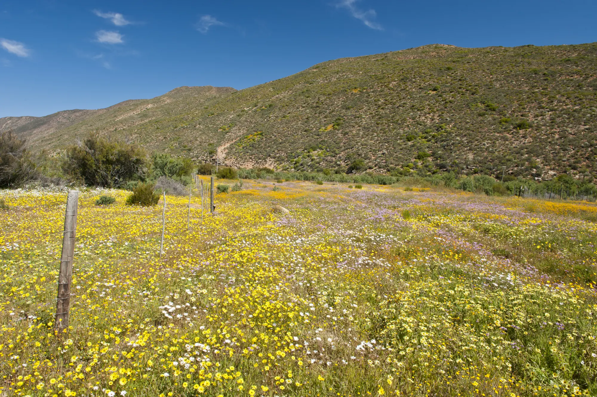 Wupperthal3 Wupperthal3