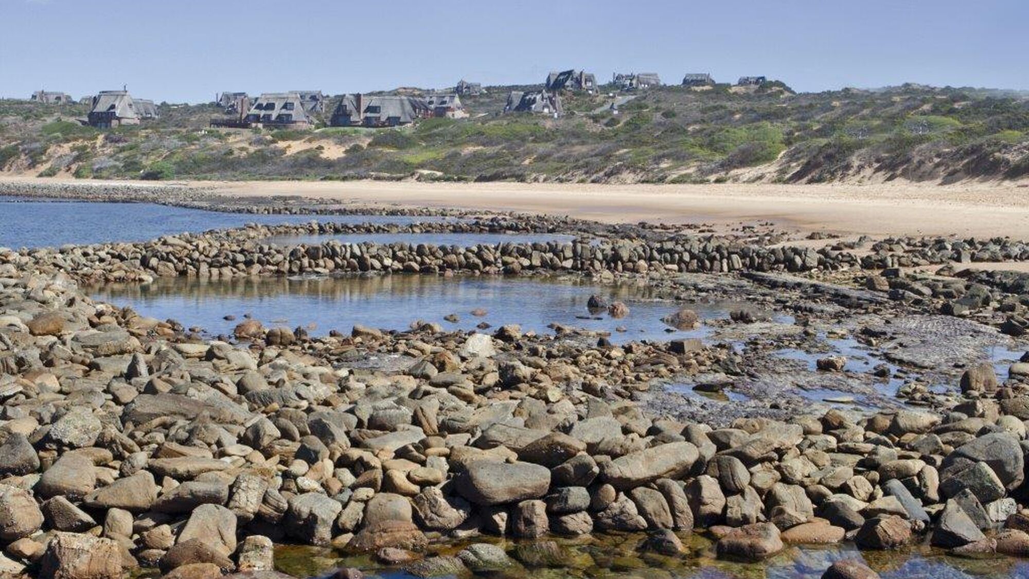 Image Title Image Title