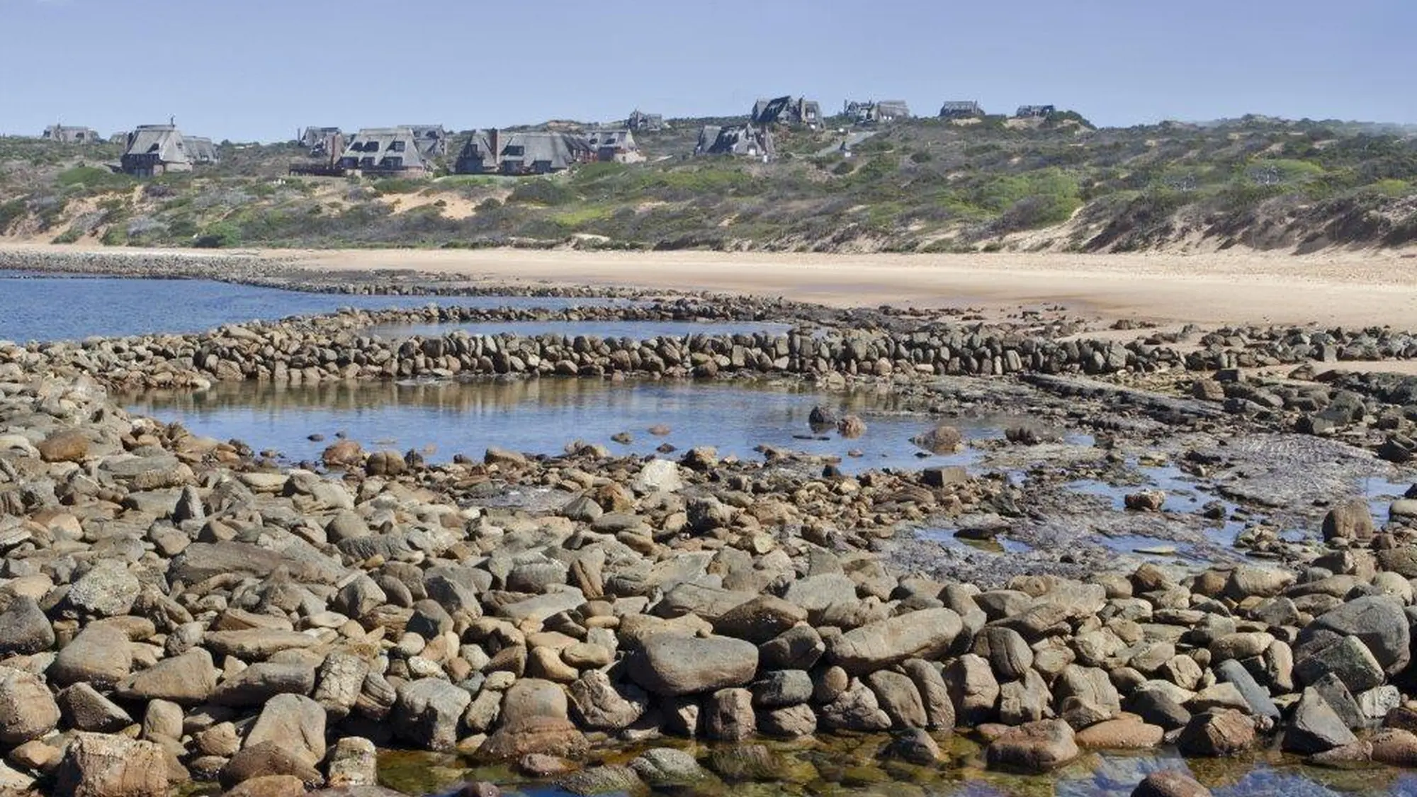 Image Title Image Title