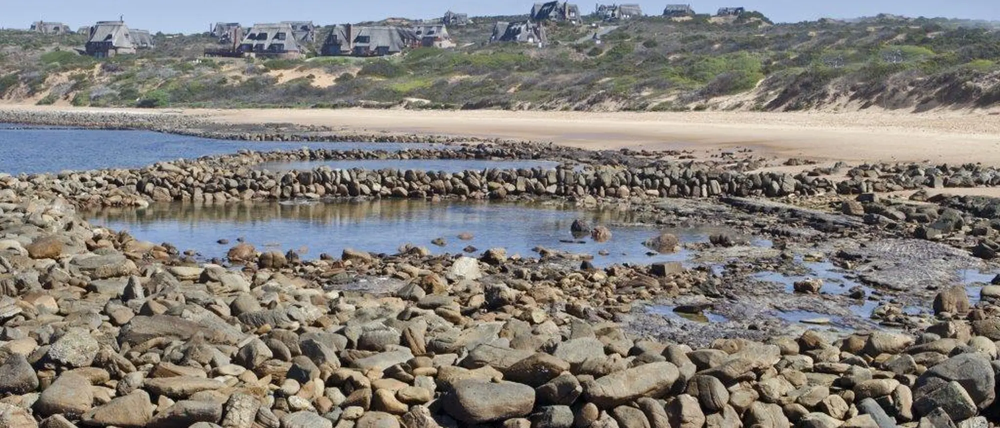 Image Title Image Title