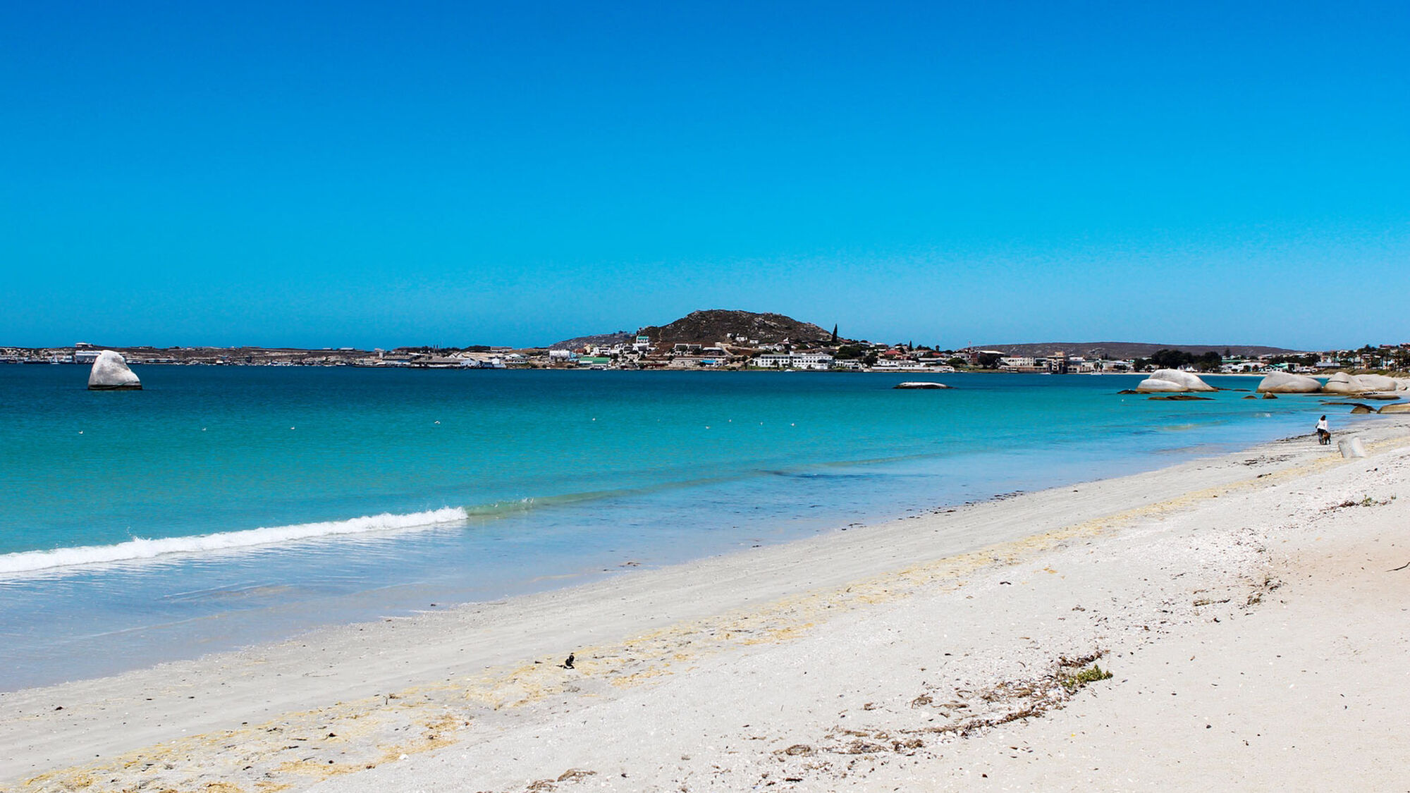 Image Title Image Title