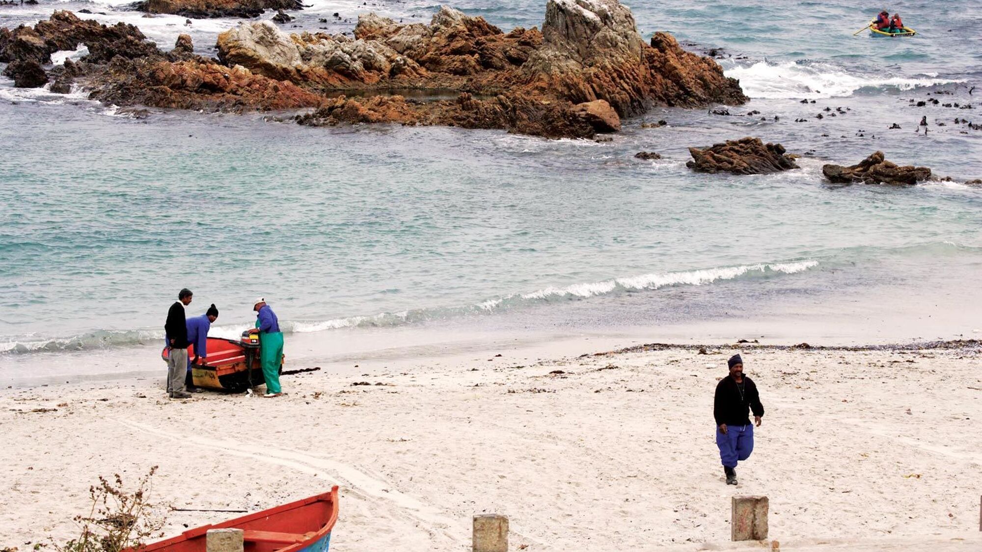 Image Title Image Title