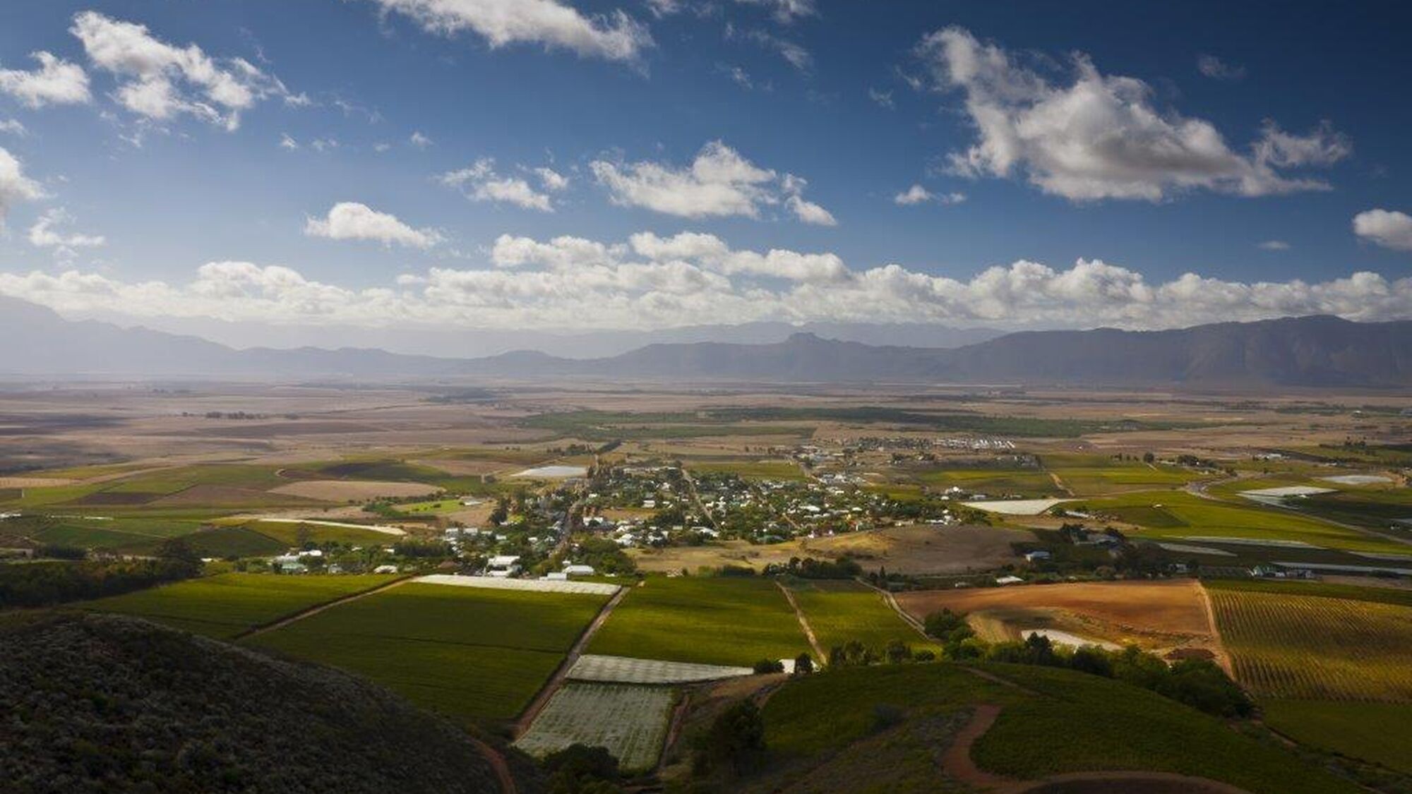 Image Title Image Title