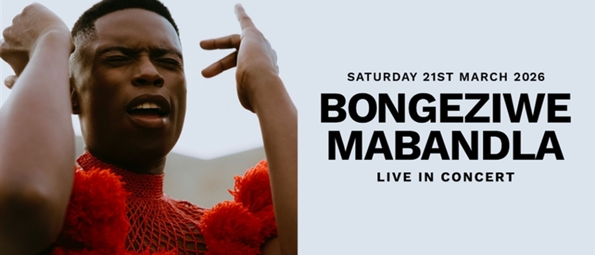 Image Title Image Title