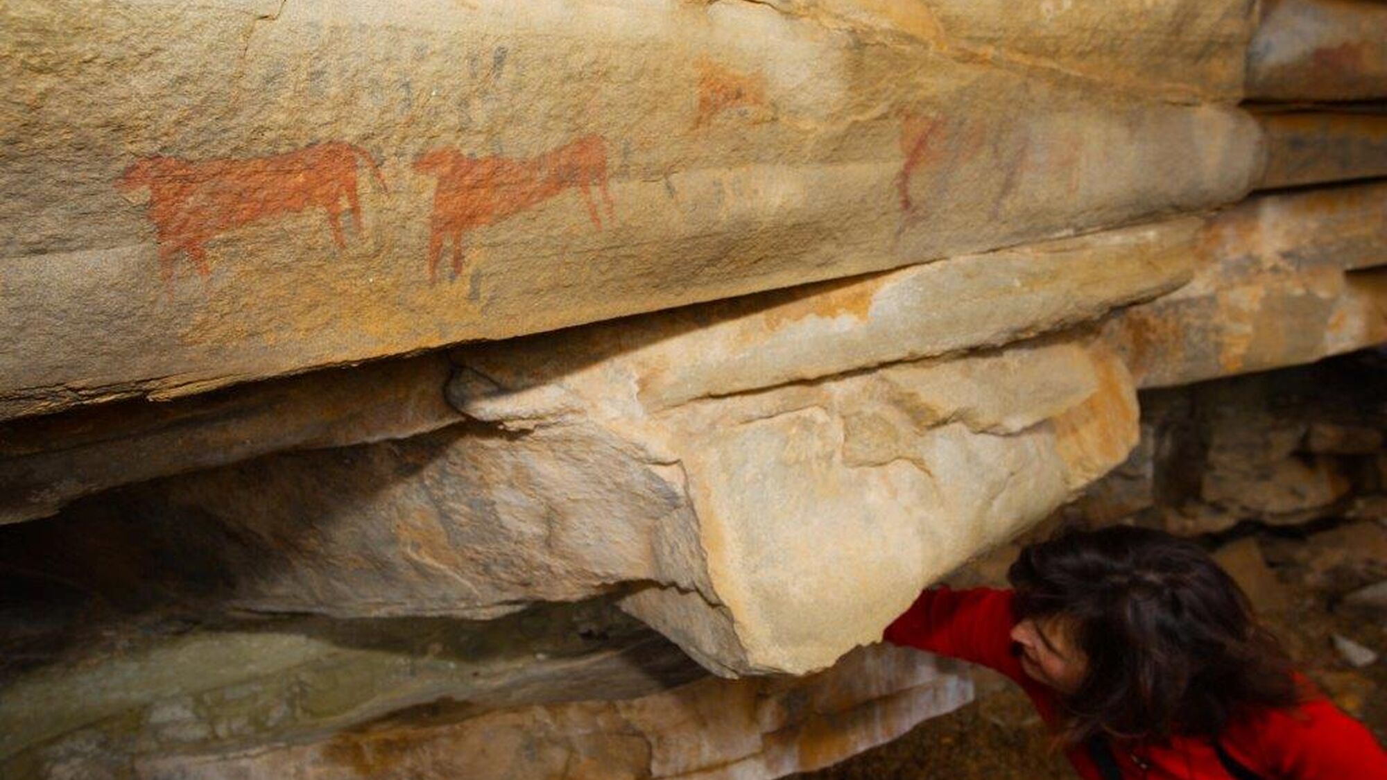 Image Title Image Title