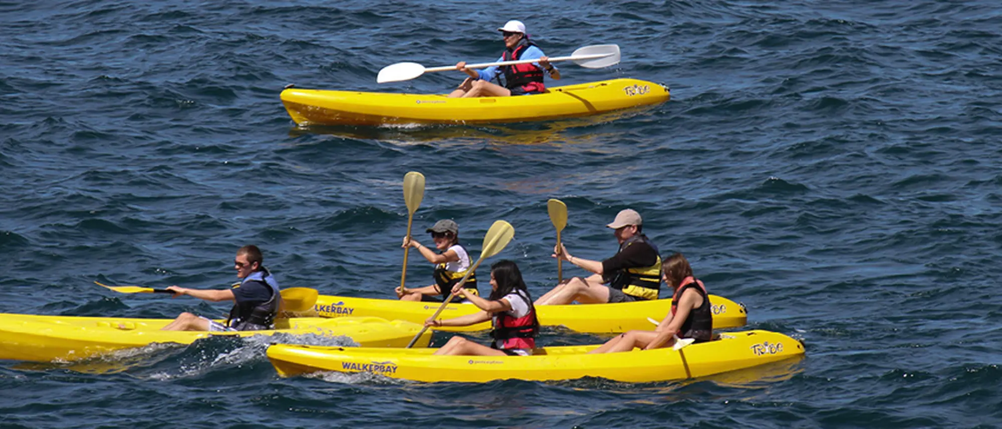 Image Title Image Title