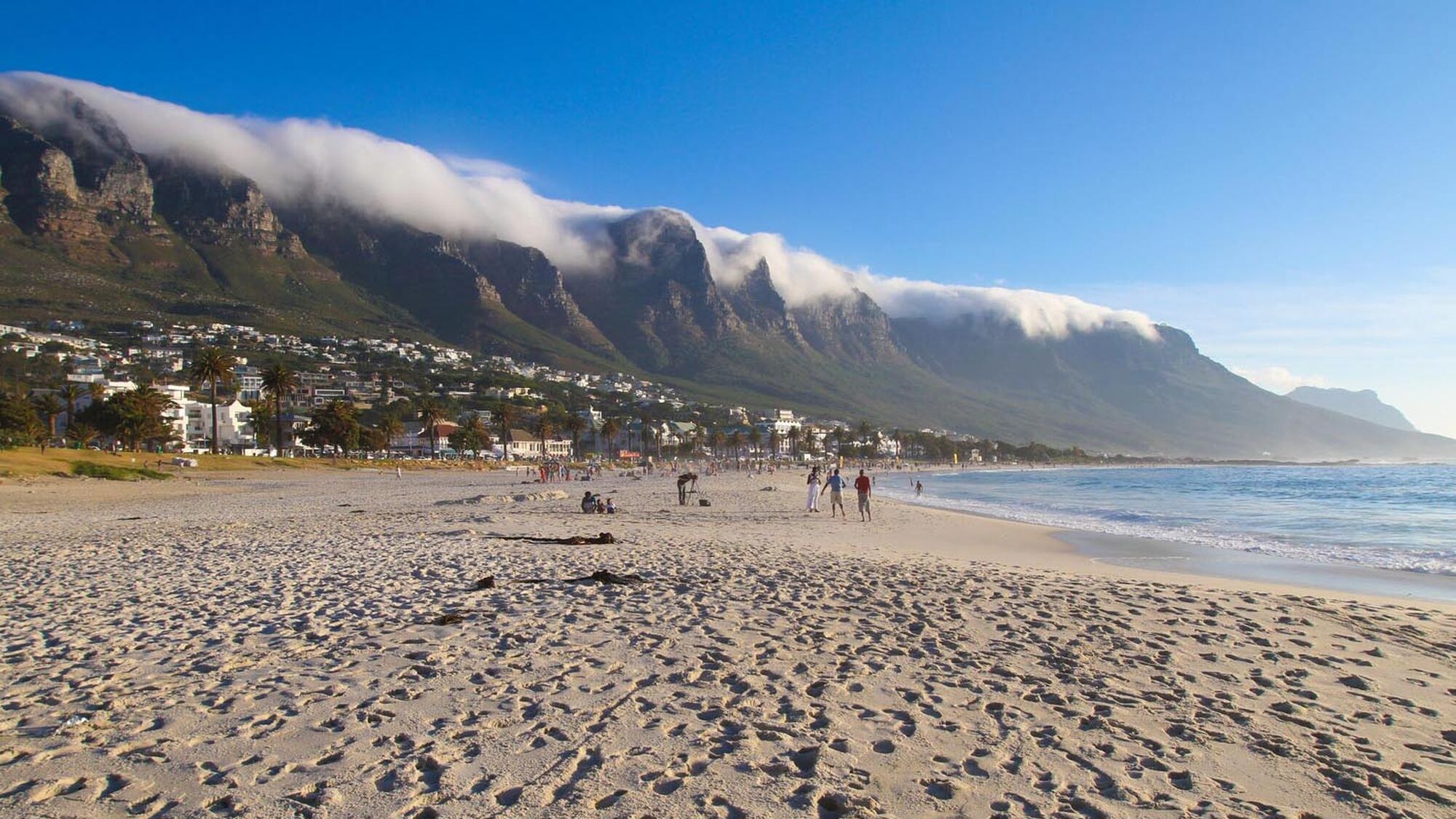 Image Title Image Title