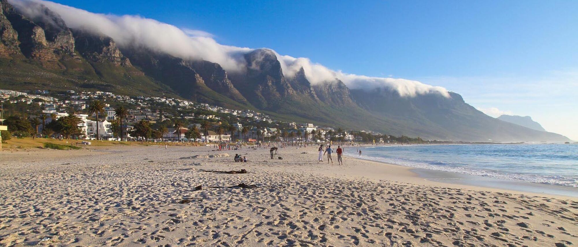 Image Title Image Title