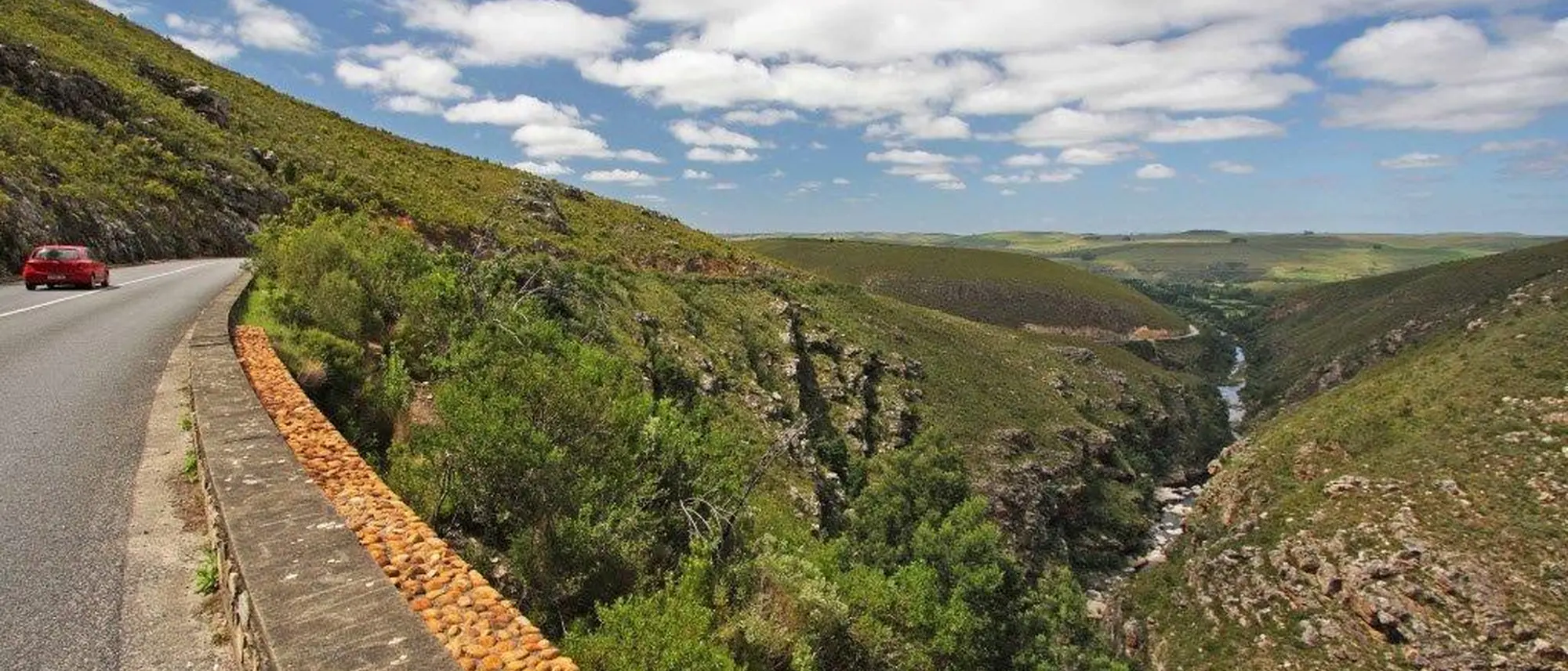 Image Title Image Title