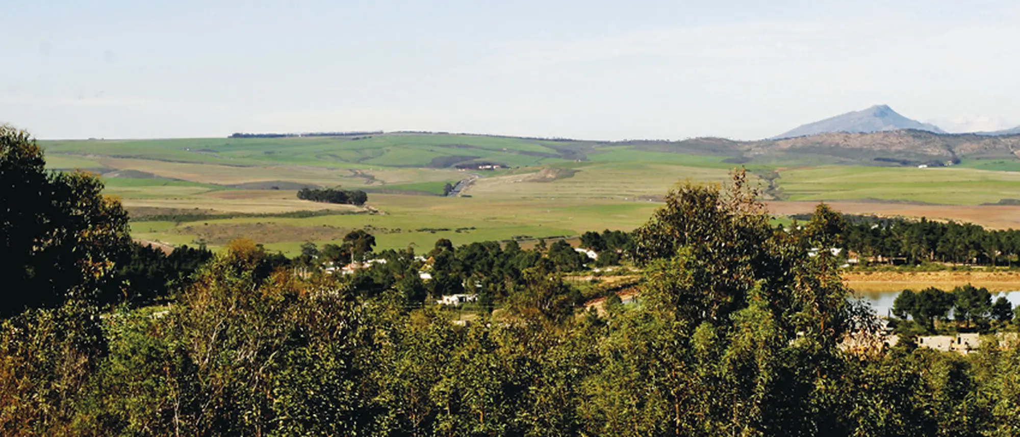 Image Title Image Title