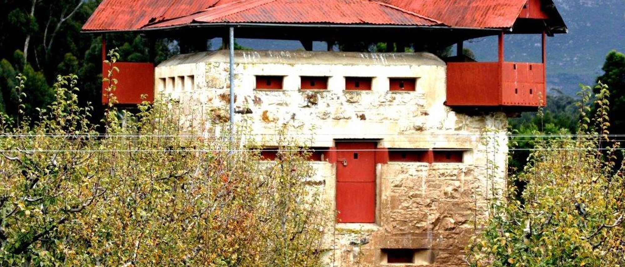 Image Title Image Title