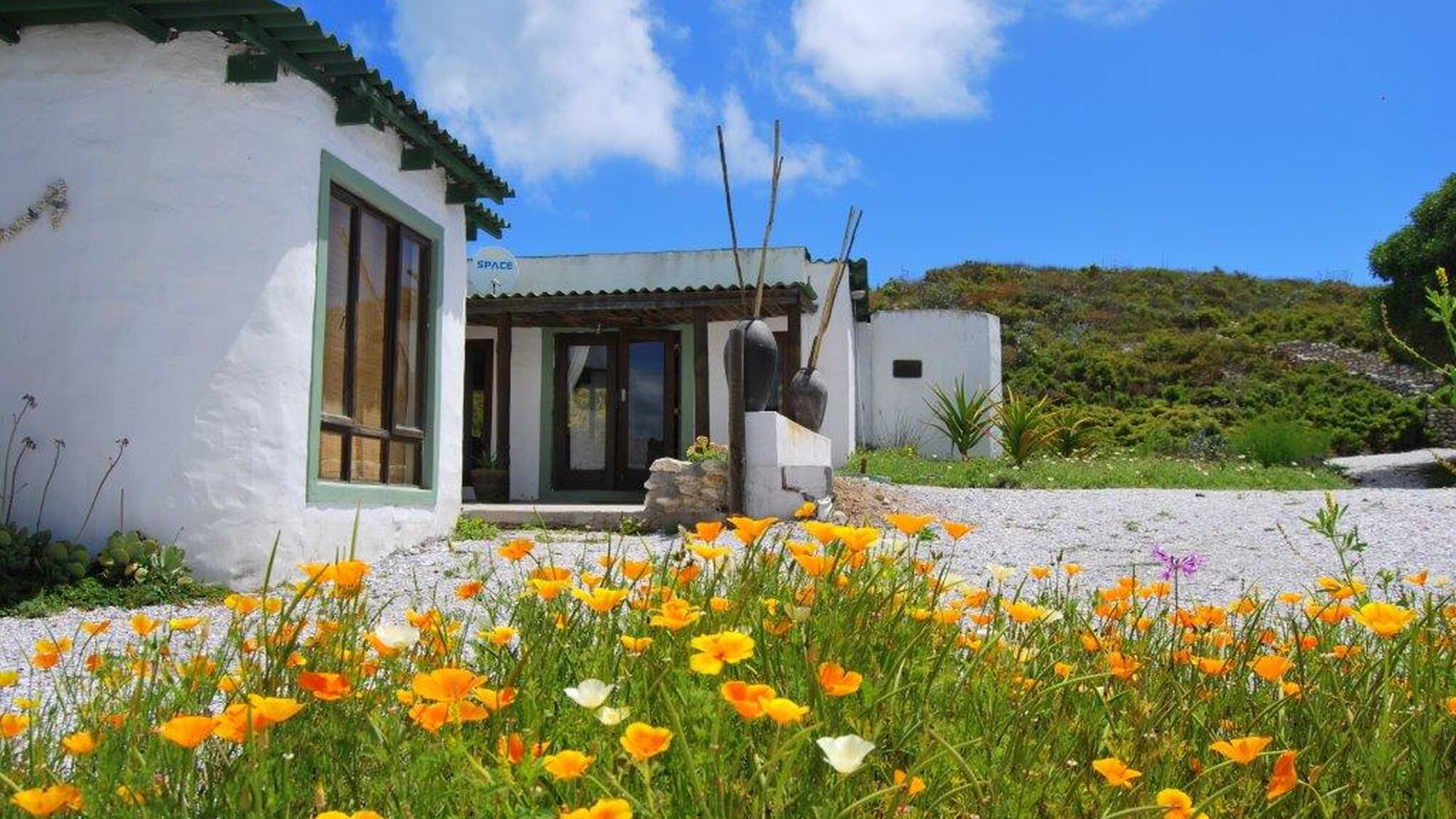 Image Title Image Title