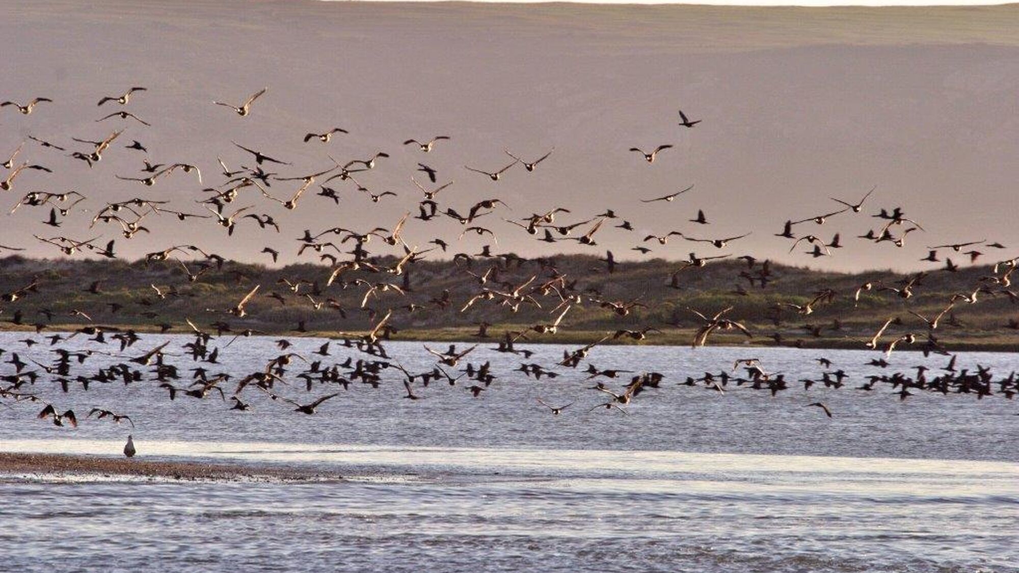 Image Title Image Title