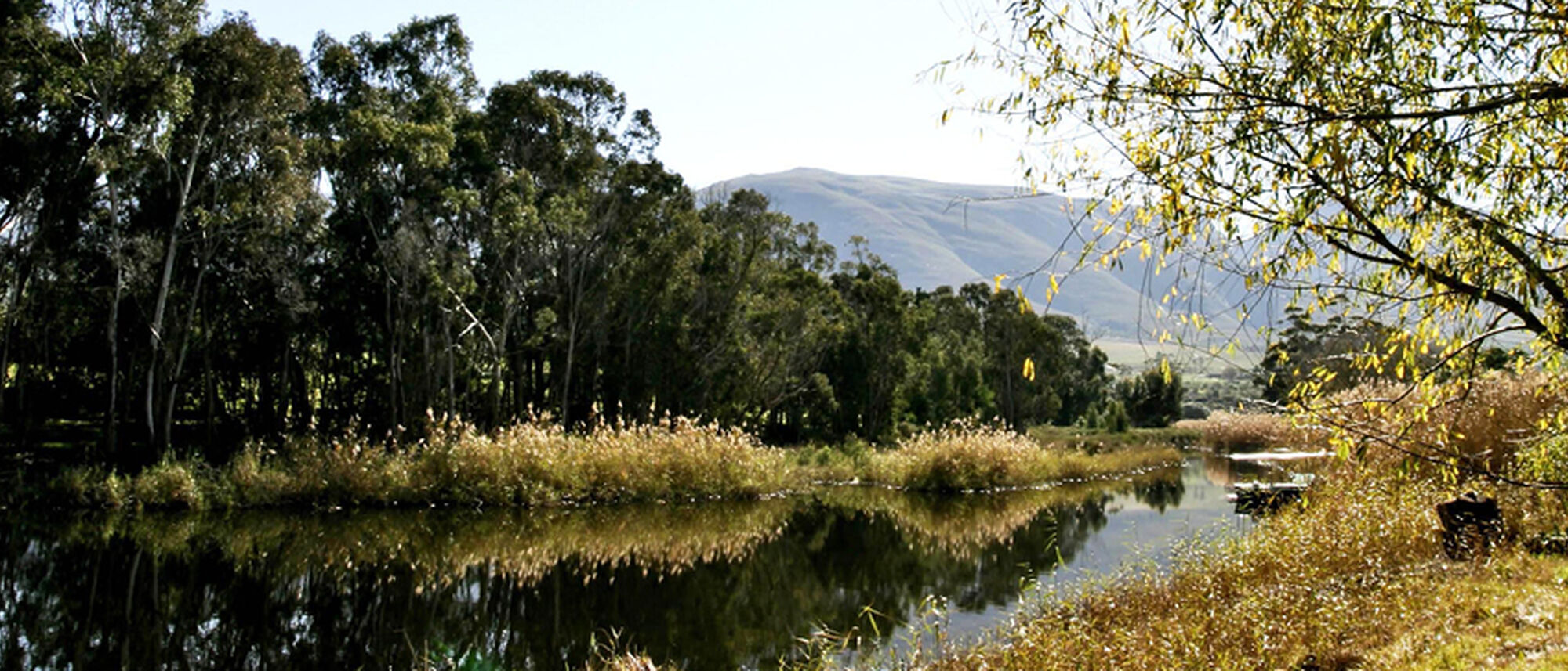 Image Title Image Title