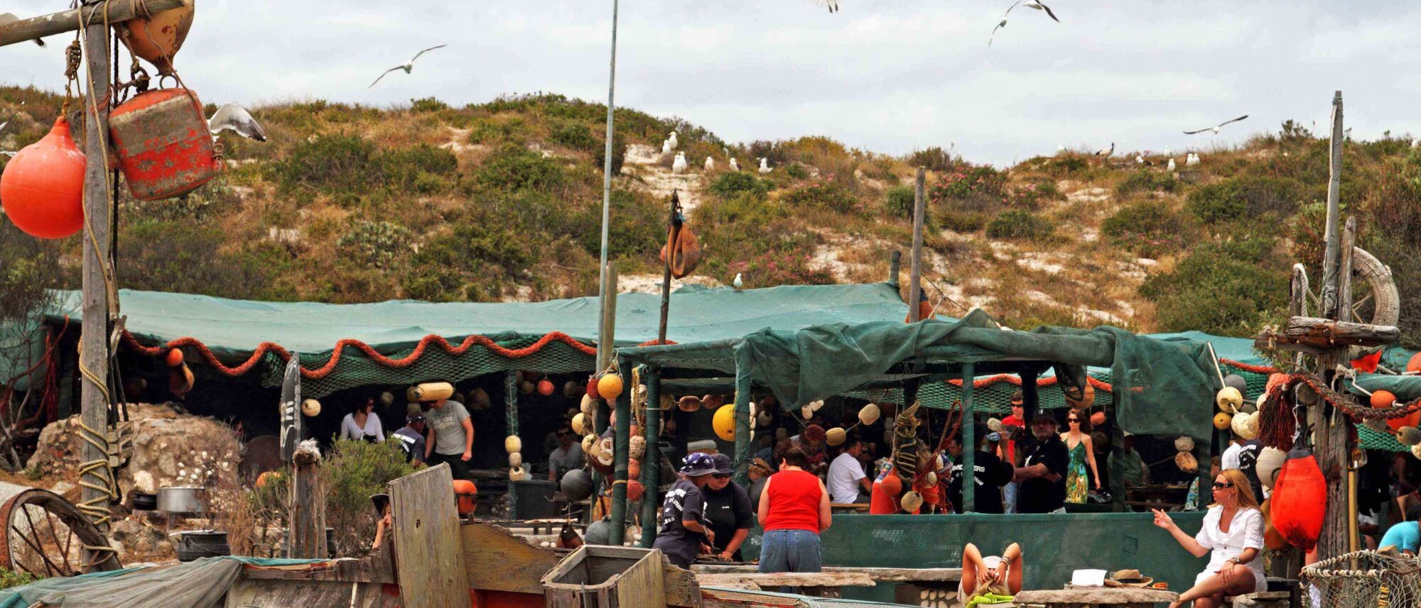 Image Title Image Title