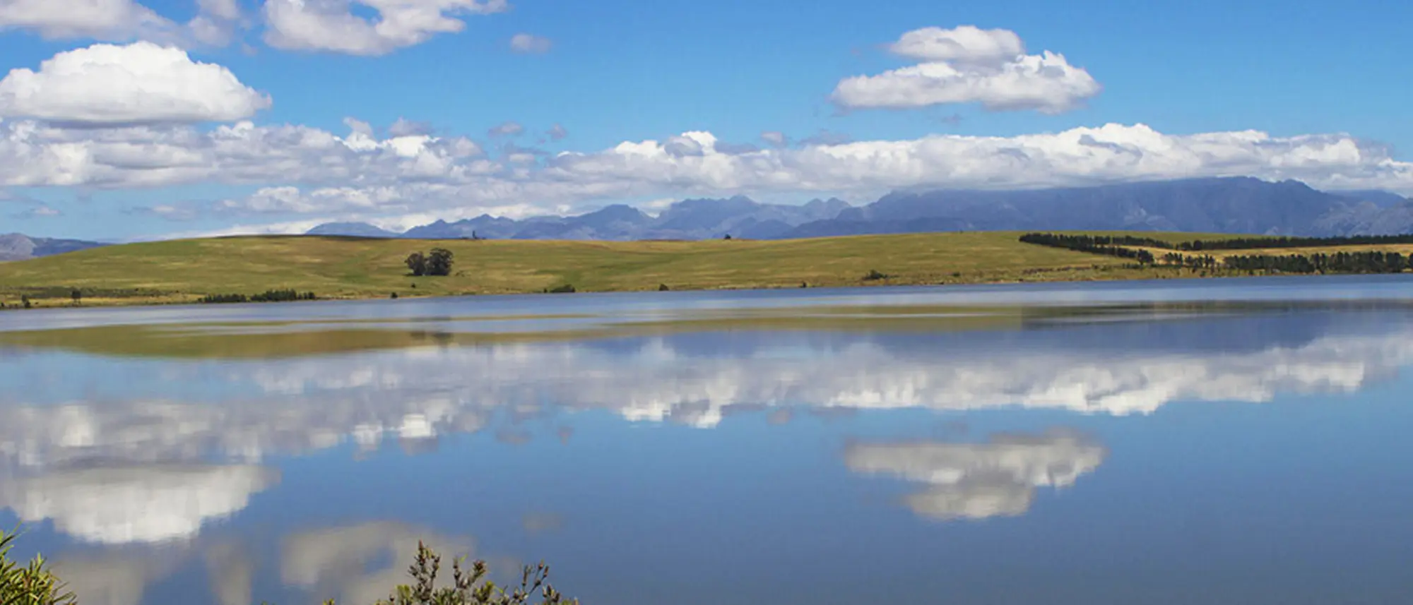 Image Title Image Title