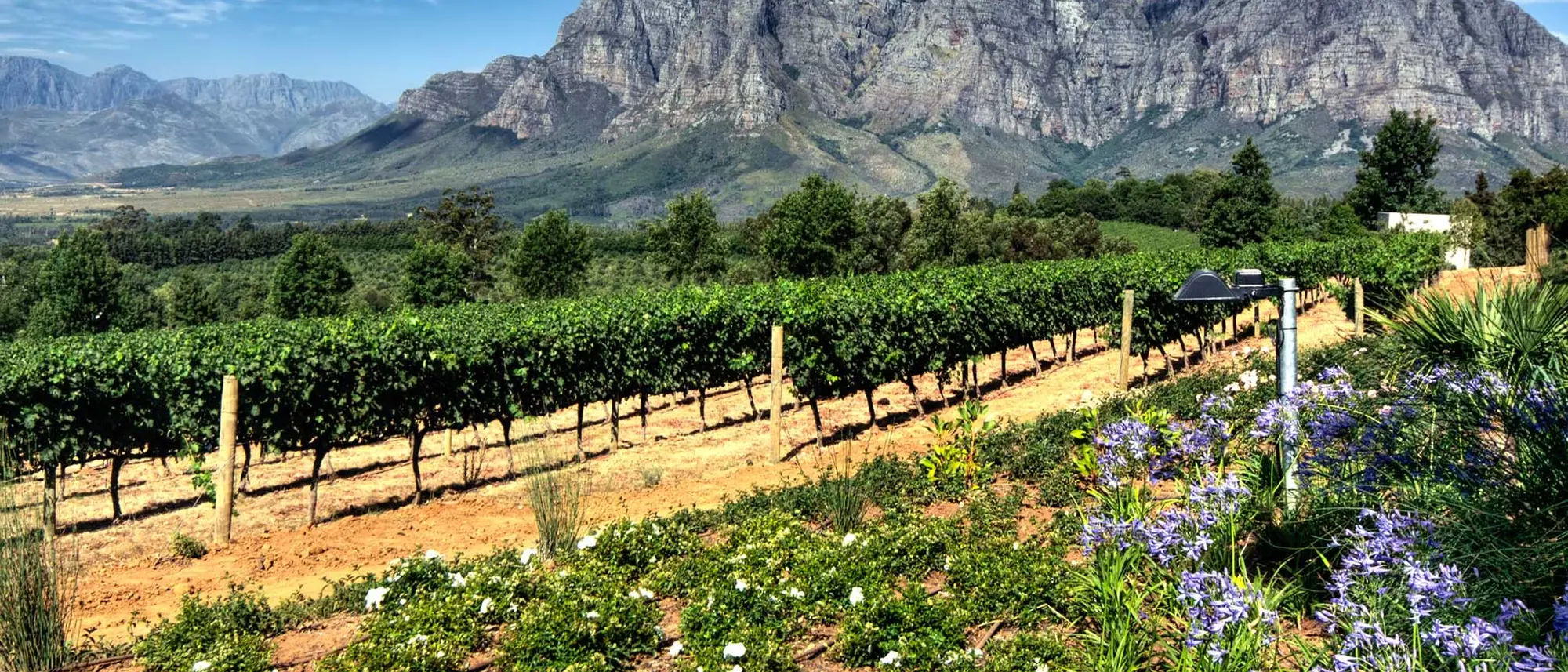 Image Title Image Title