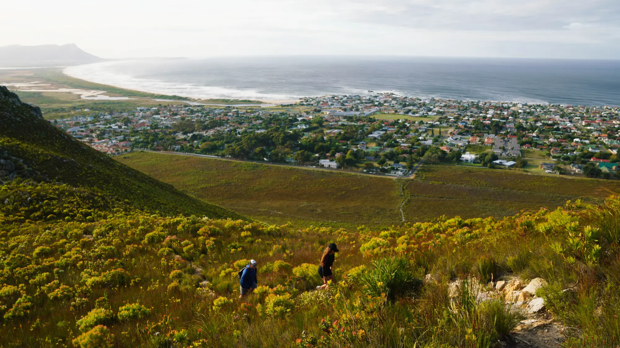 Image Title Image Title