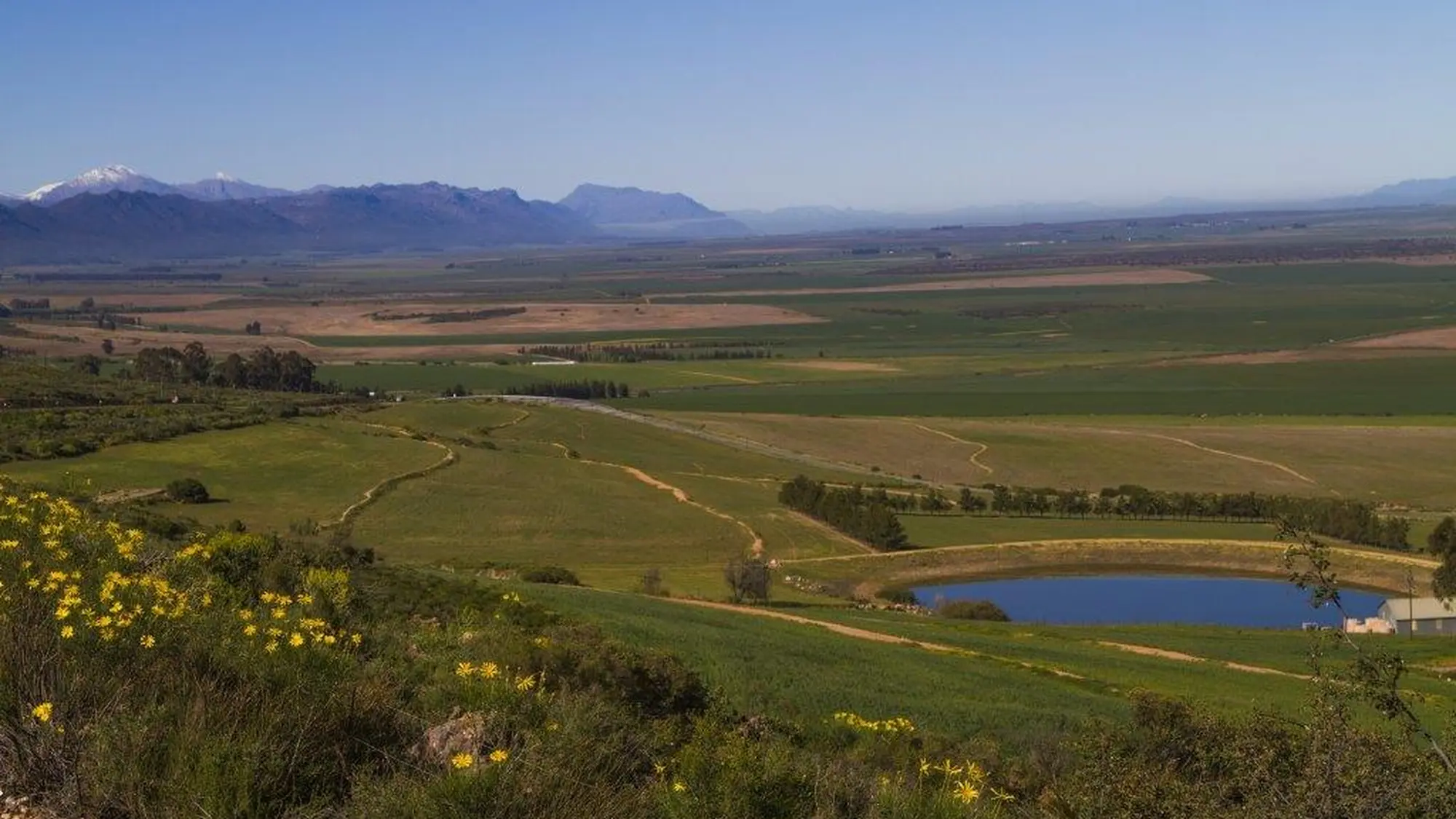 Image Title Image Title