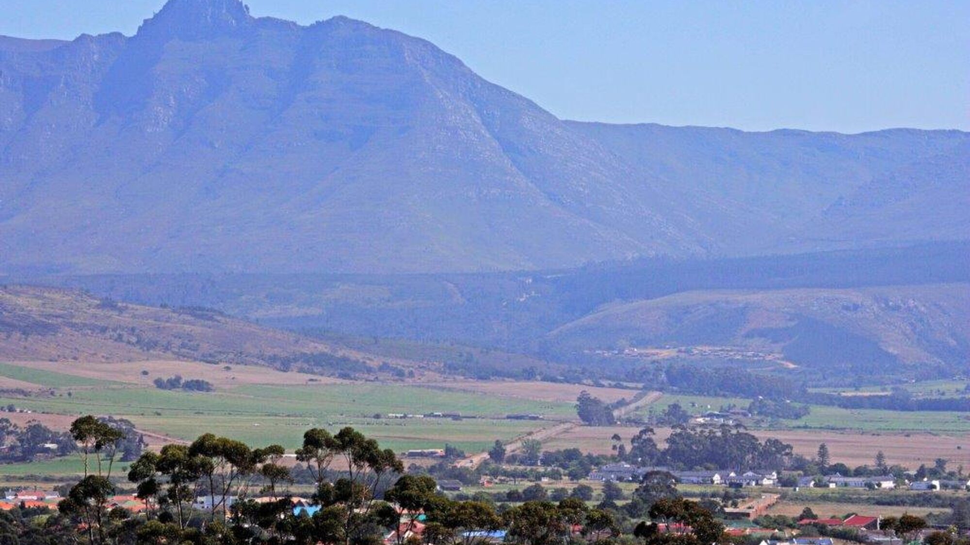 Image Title Image Title