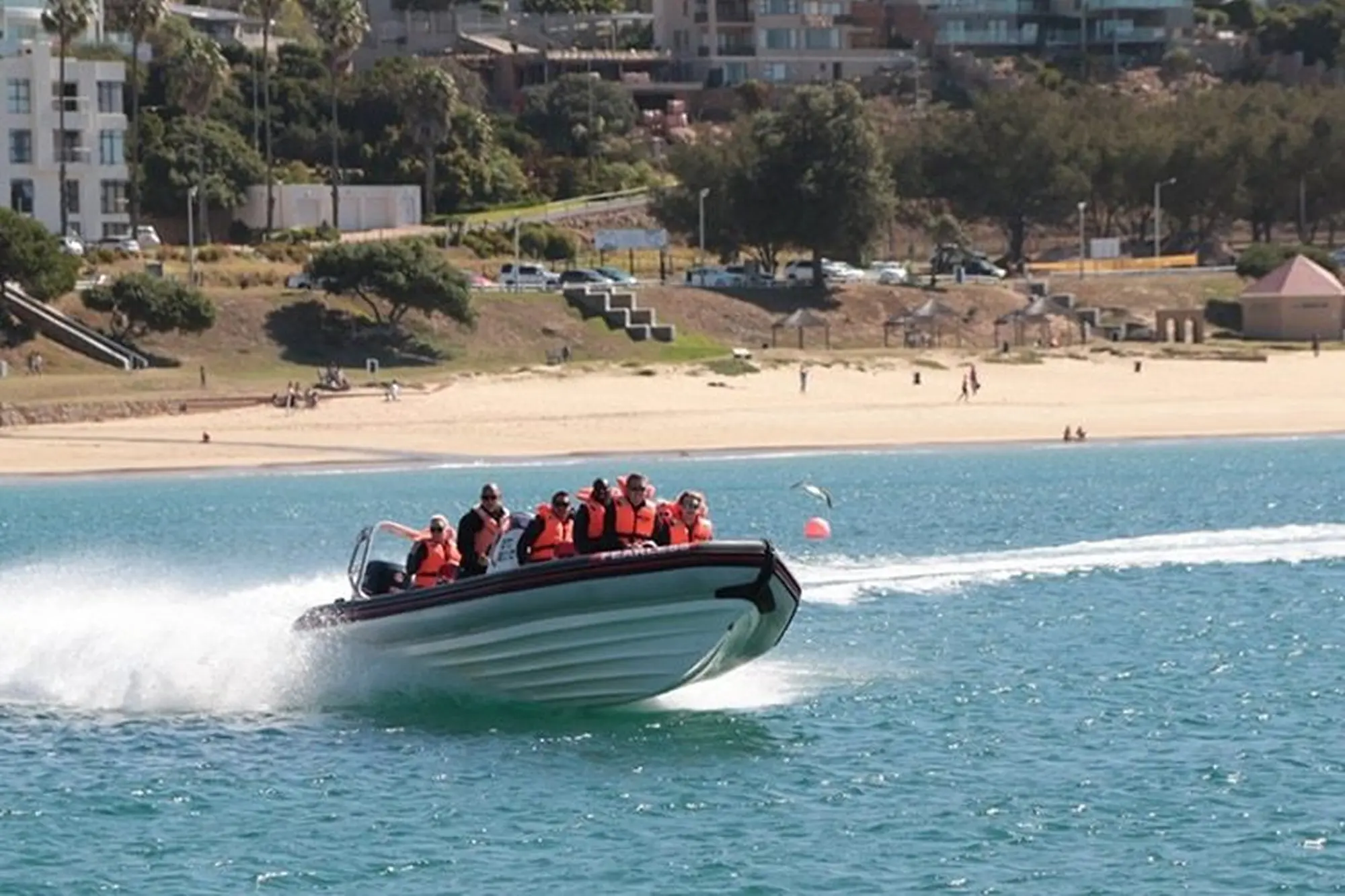 Garden route things to do 2023 boat adventures Garden route things to do 2023 boat adventures