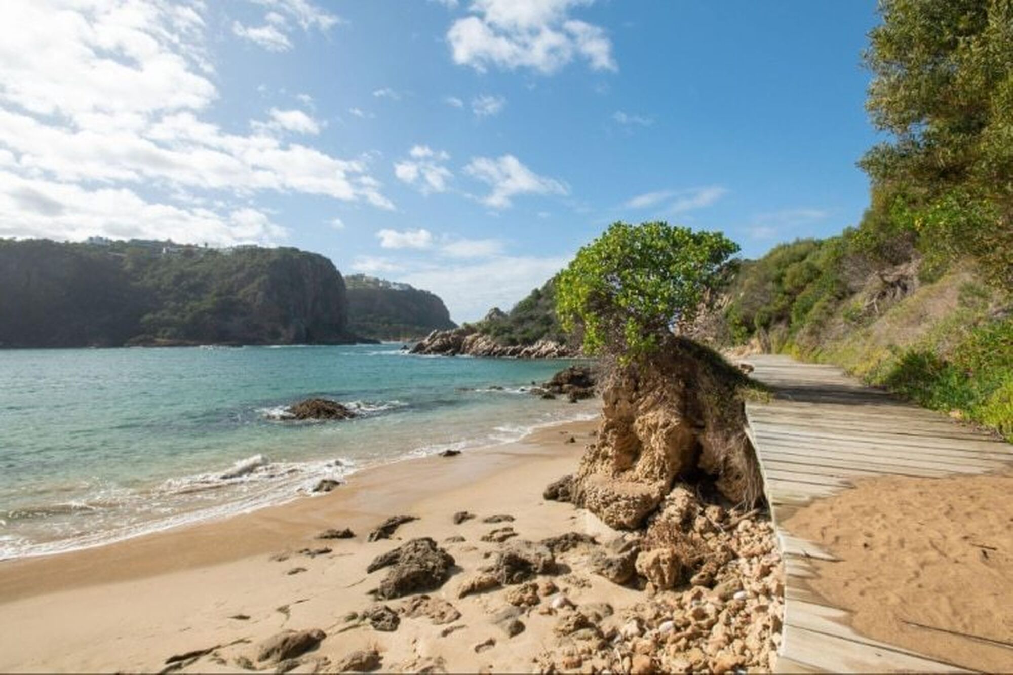 Garden route things to do 2023 featherbed reserve Garden route things to do 2023 featherbed reserve