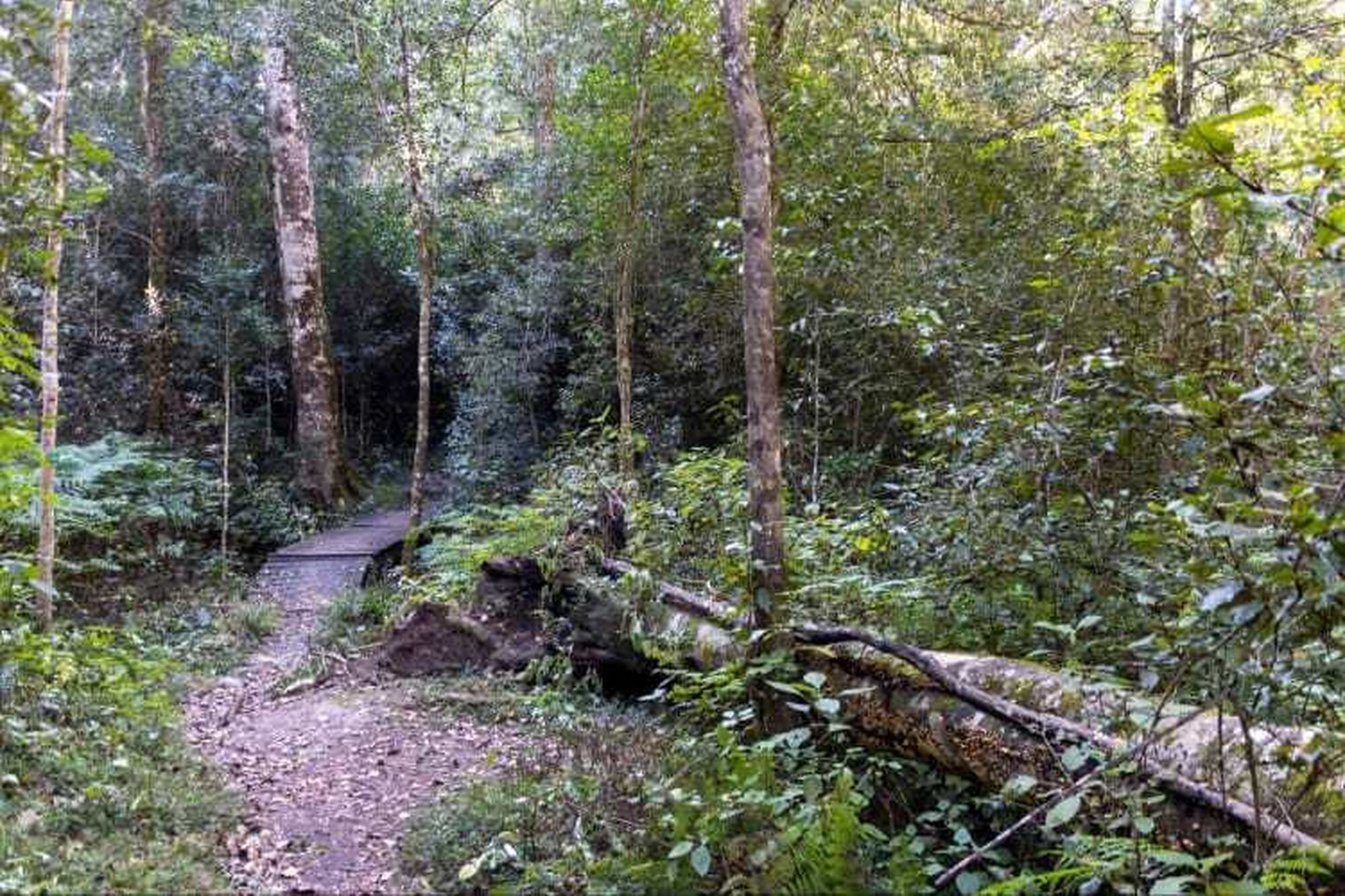 Garden route things to do 2023 hiking in knysna Garden route things to do 2023 hiking in knysna