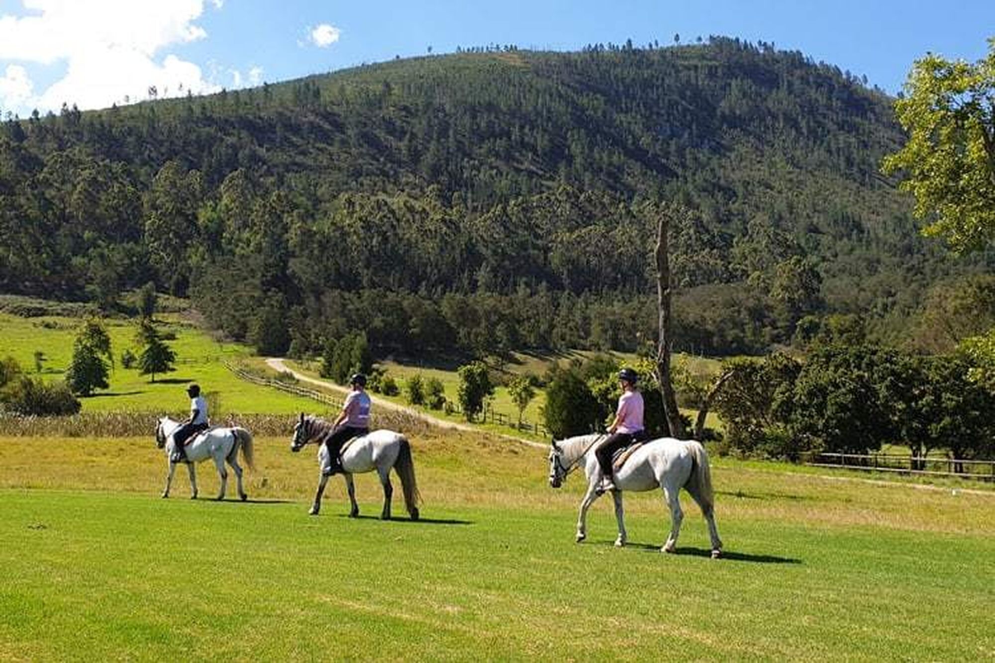 Garden route things to do 2023 kurland horse trails Garden route things to do 2023 kurland horse trails