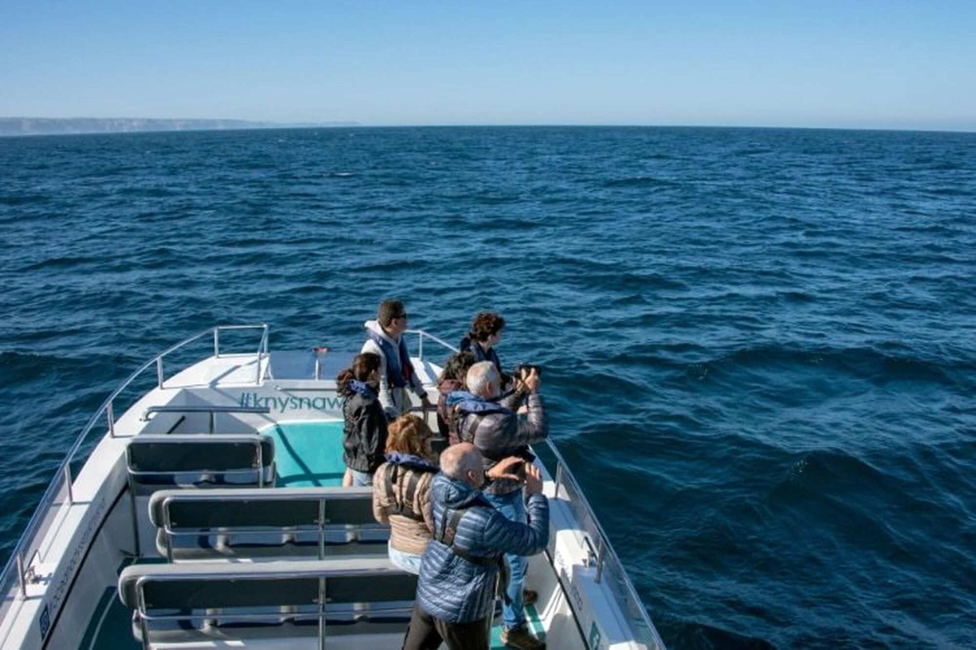 Garden route things to do 2023 marine eco tour Garden route things to do 2023 marine eco tour