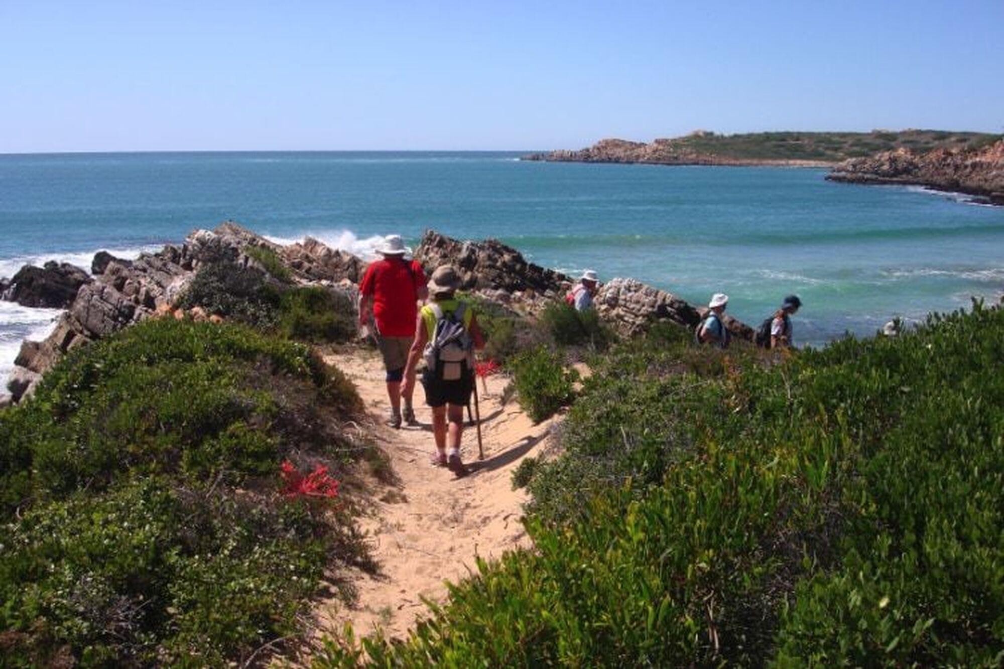 Garden route things to do 2023 oystercatcher trail Garden route things to do 2023 oystercatcher trail