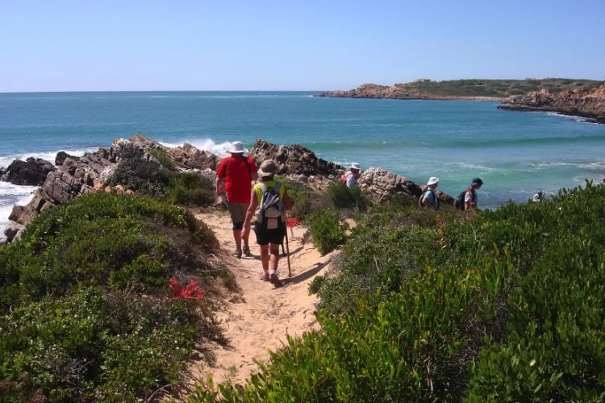 Garden route things to do 2023 oystercatcher trail Garden route things to do 2023 oystercatcher trail