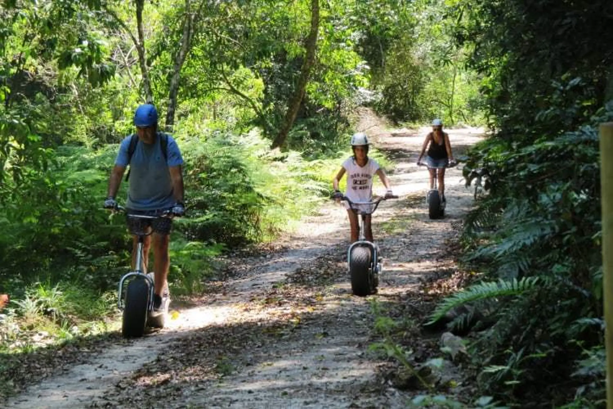 Garden route things to do 2023 scootours knysna Garden route things to do 2023 scootours knysna