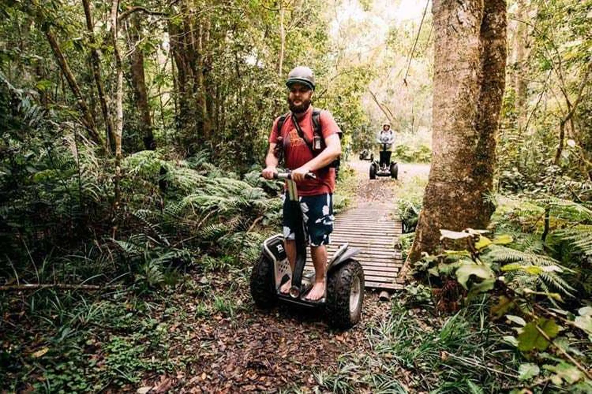 Garden route things to do 2023 segway forest tour Garden route things to do 2023 segway forest tour