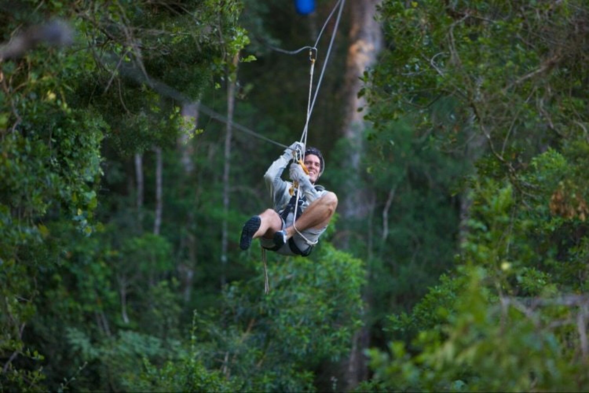Garden route things to do 2023 zipline canopy tour Garden route things to do 2023 zipline canopy tour