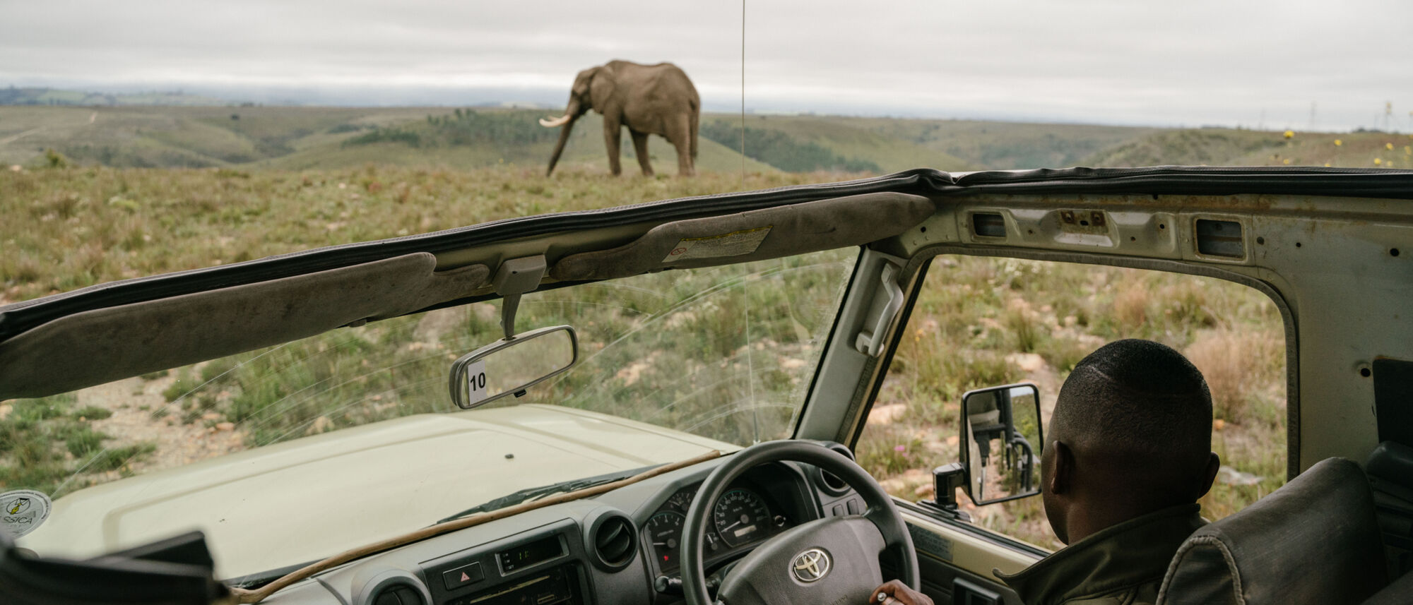 Image Title Image Title