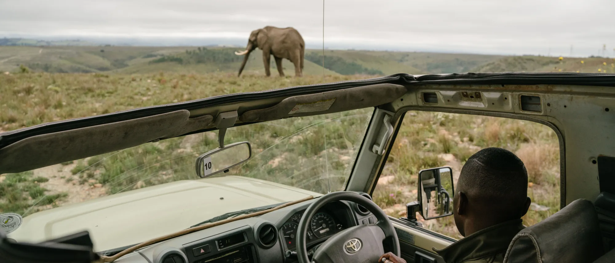 Image Title Image Title