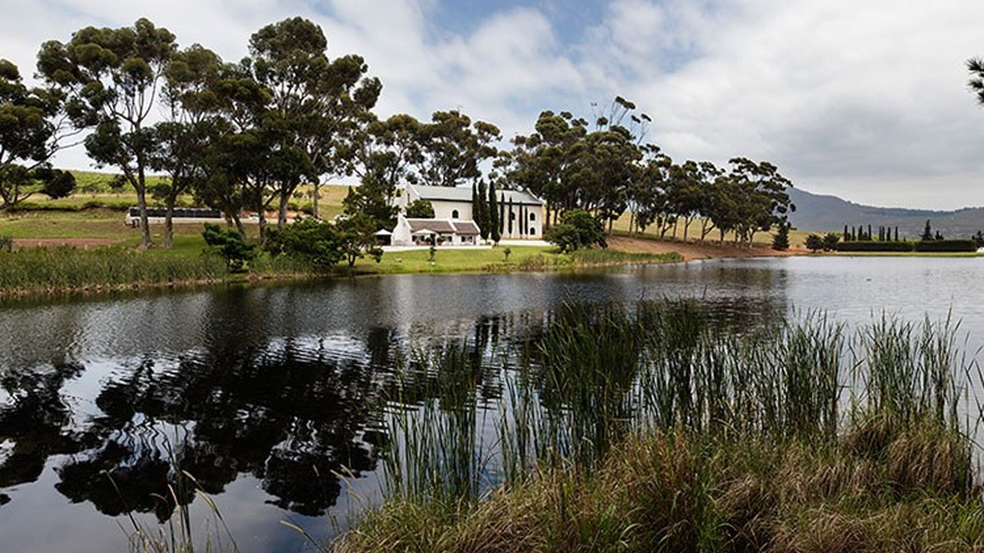 Image Title Image Title