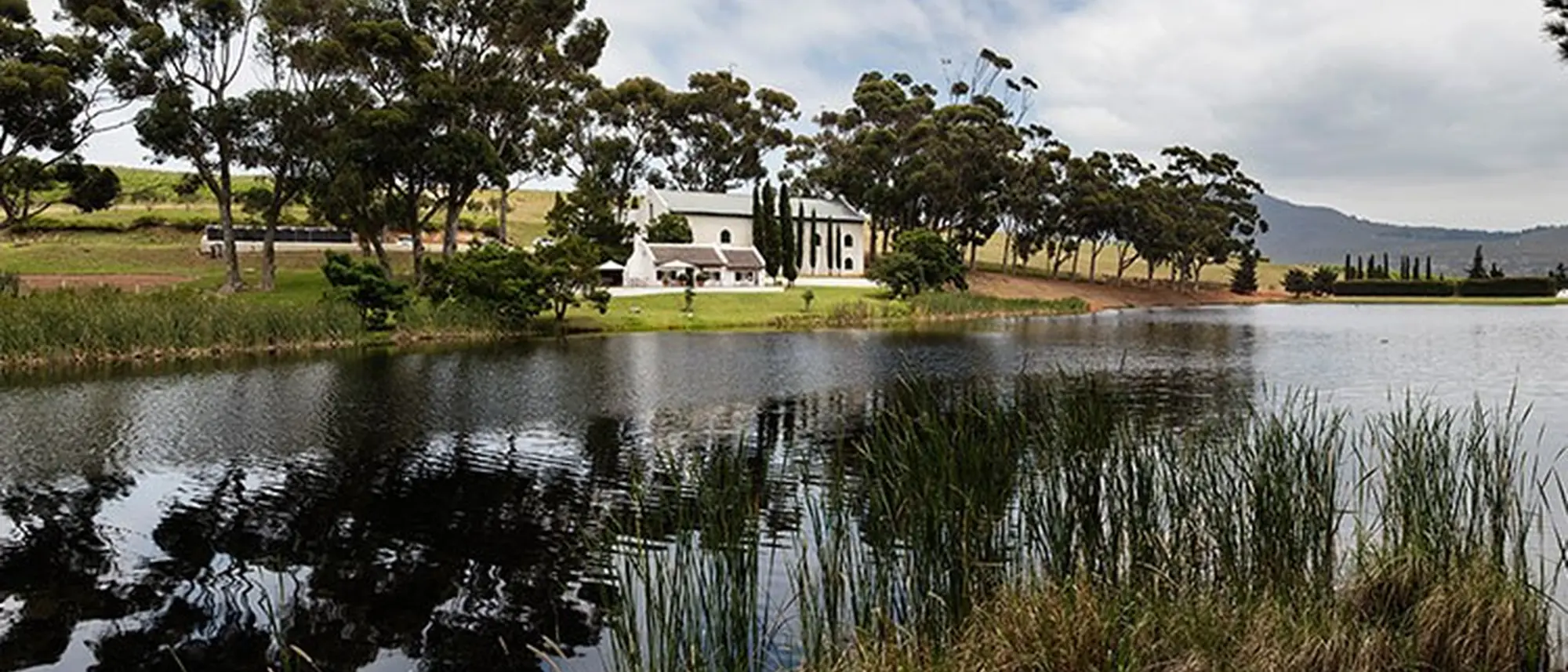 Image Title Image Title