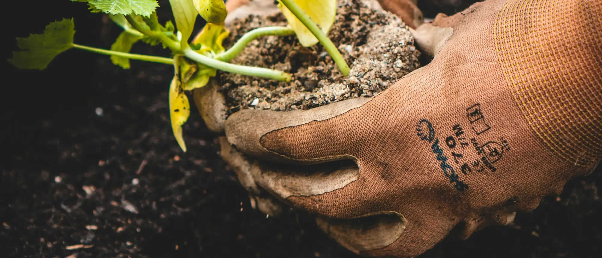 Jonathan kemper Cb Zh3ka Pxr E unsplash Jonathan kemper Cb Zh3ka Pxr E unsplash