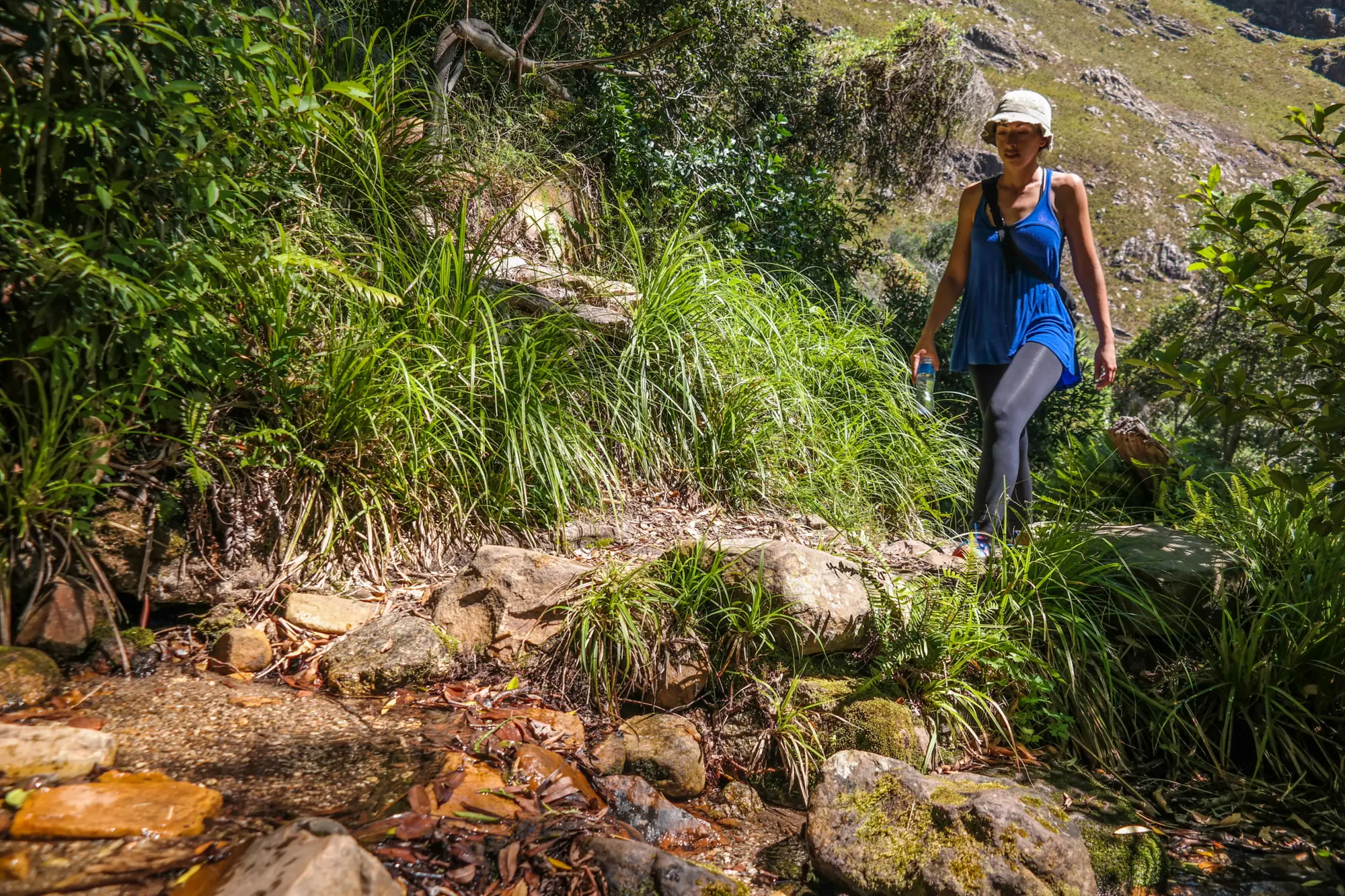 Jonkershoek sosyskloof 13 Jonkershoek sosyskloof 13