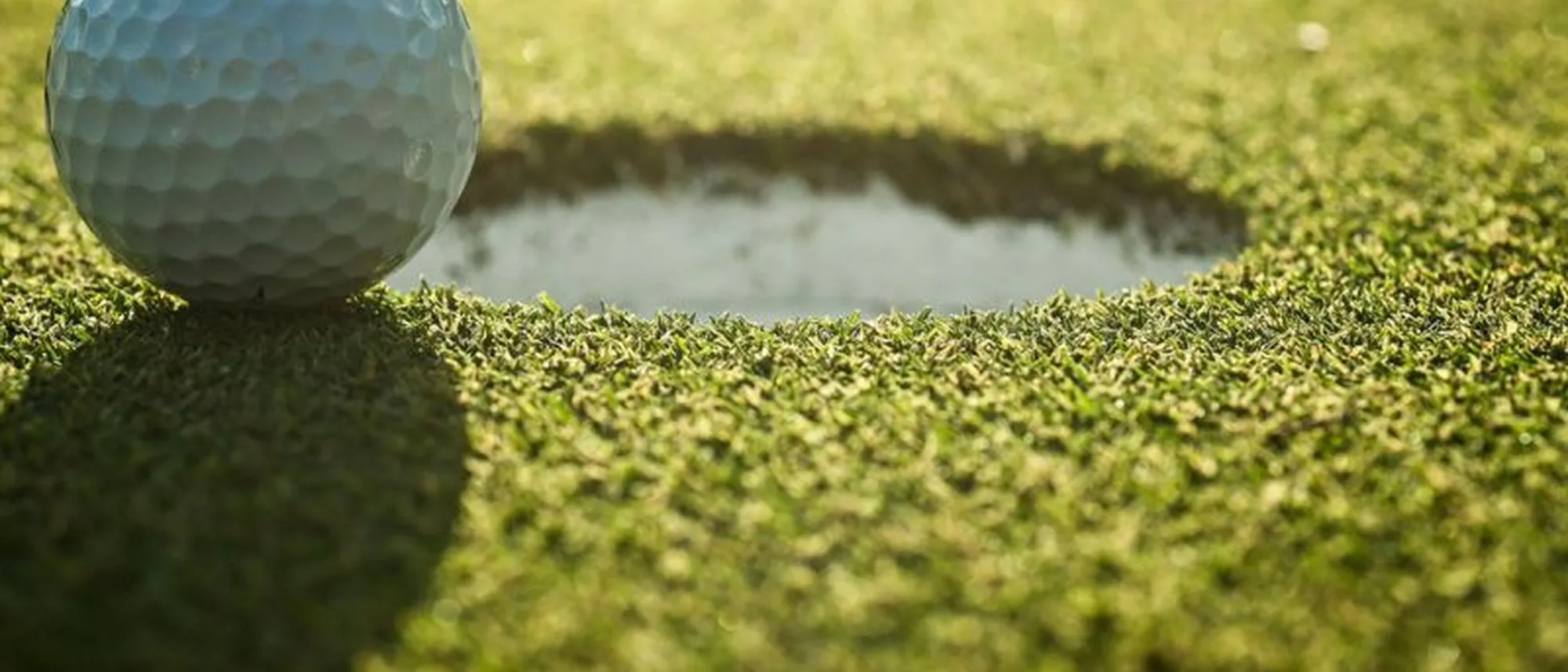 Image Title Image Title