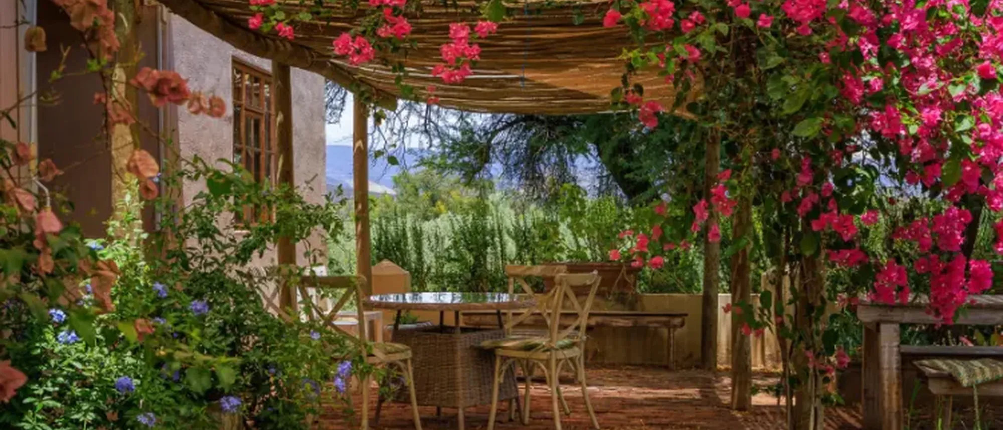 Image Title Image Title