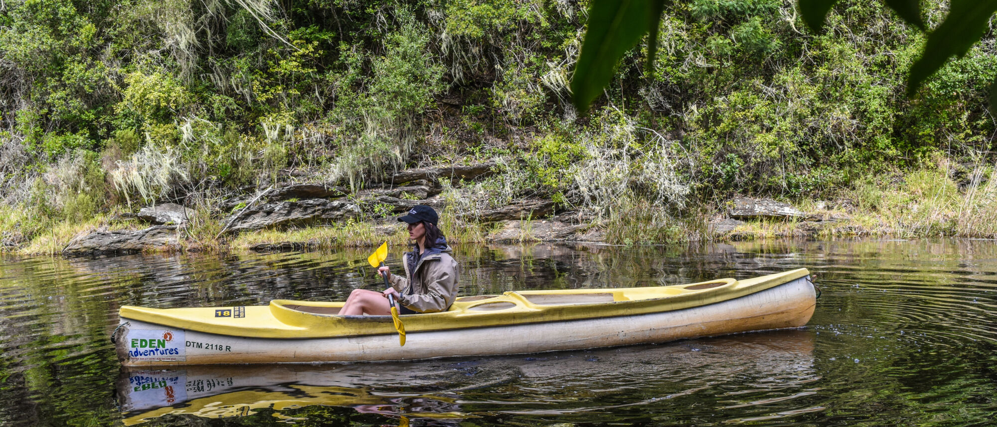 Image Title Image Title