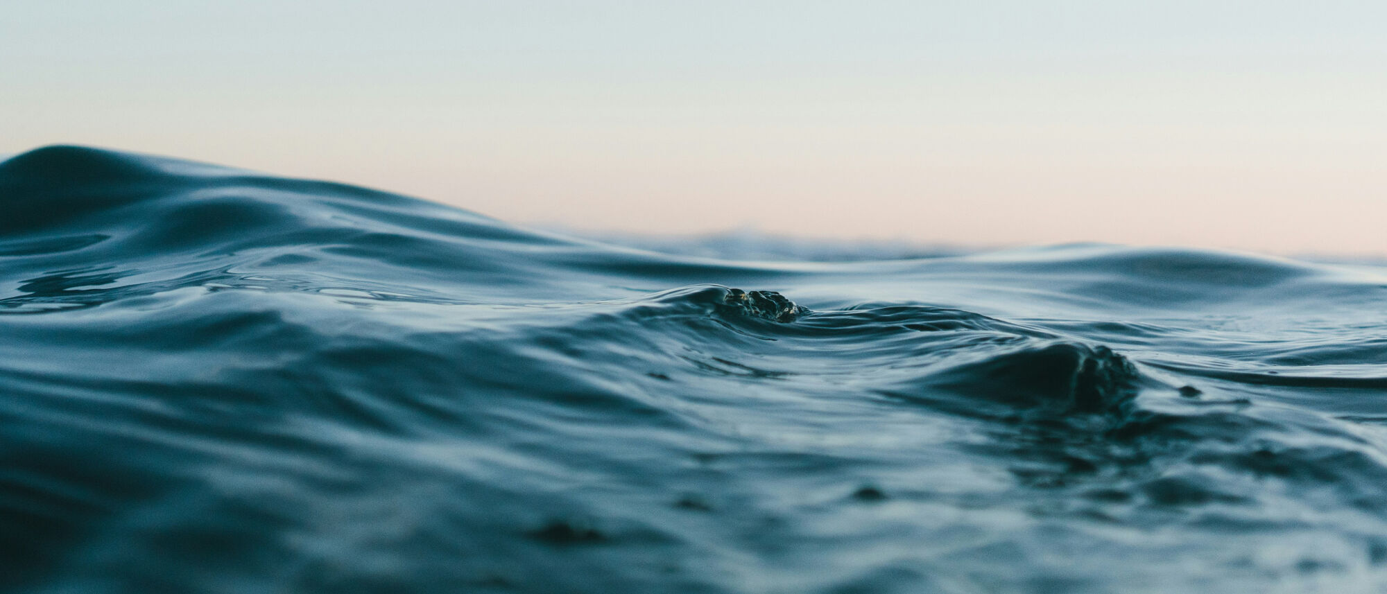 Image Title Image Title