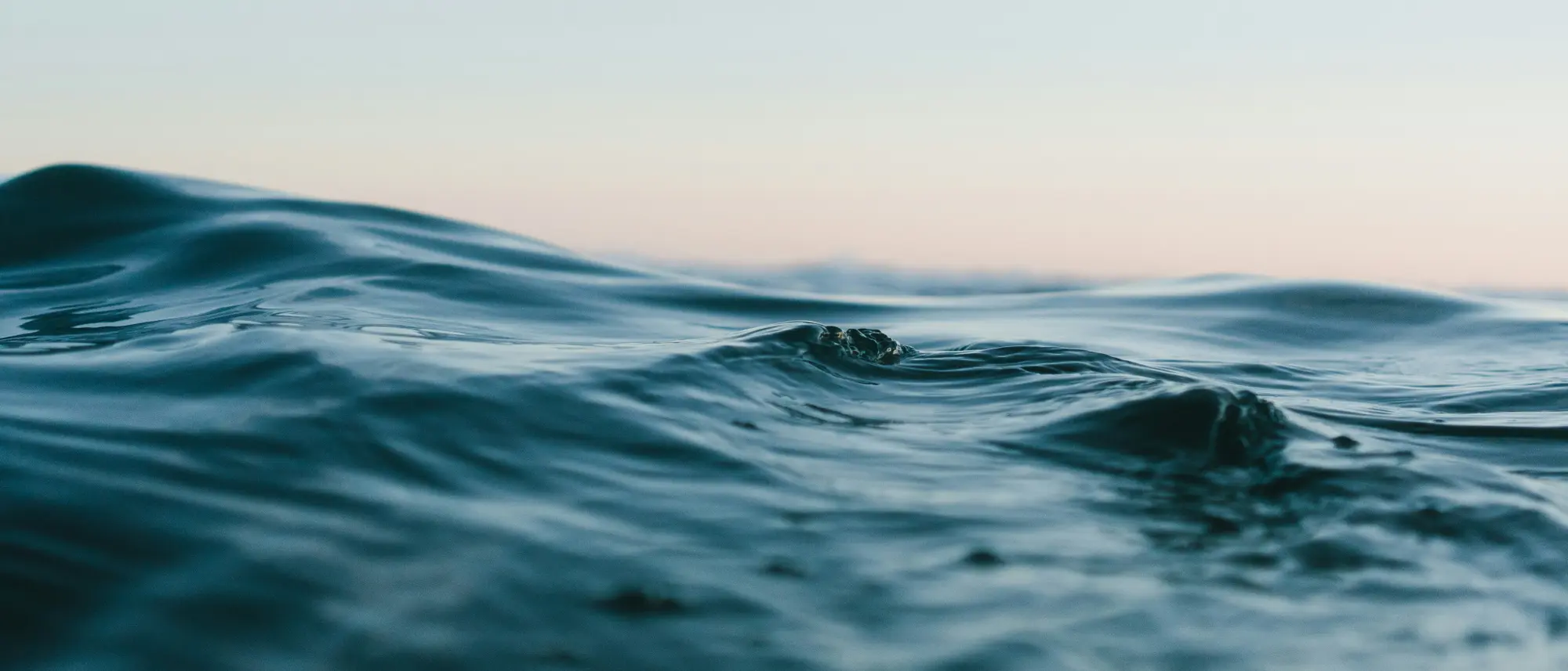 Image Title Image Title